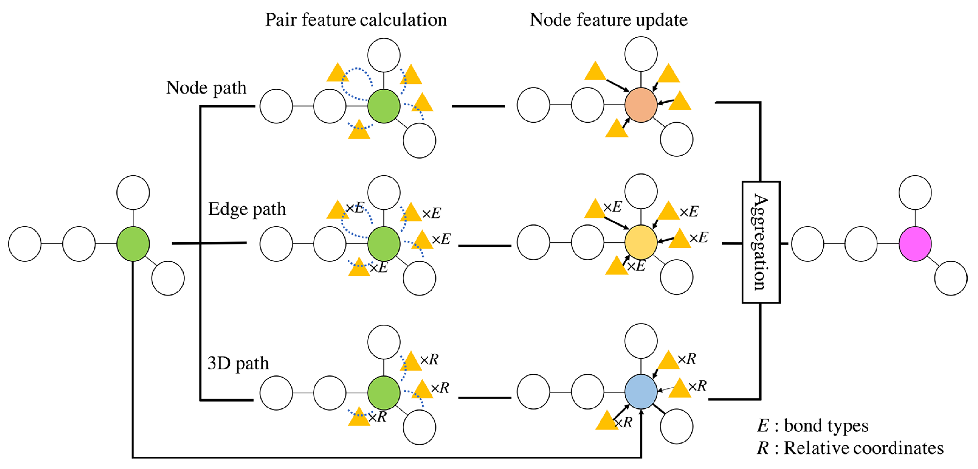 Graph Neural Networks with Multiple Feature Extraction Paths for ...