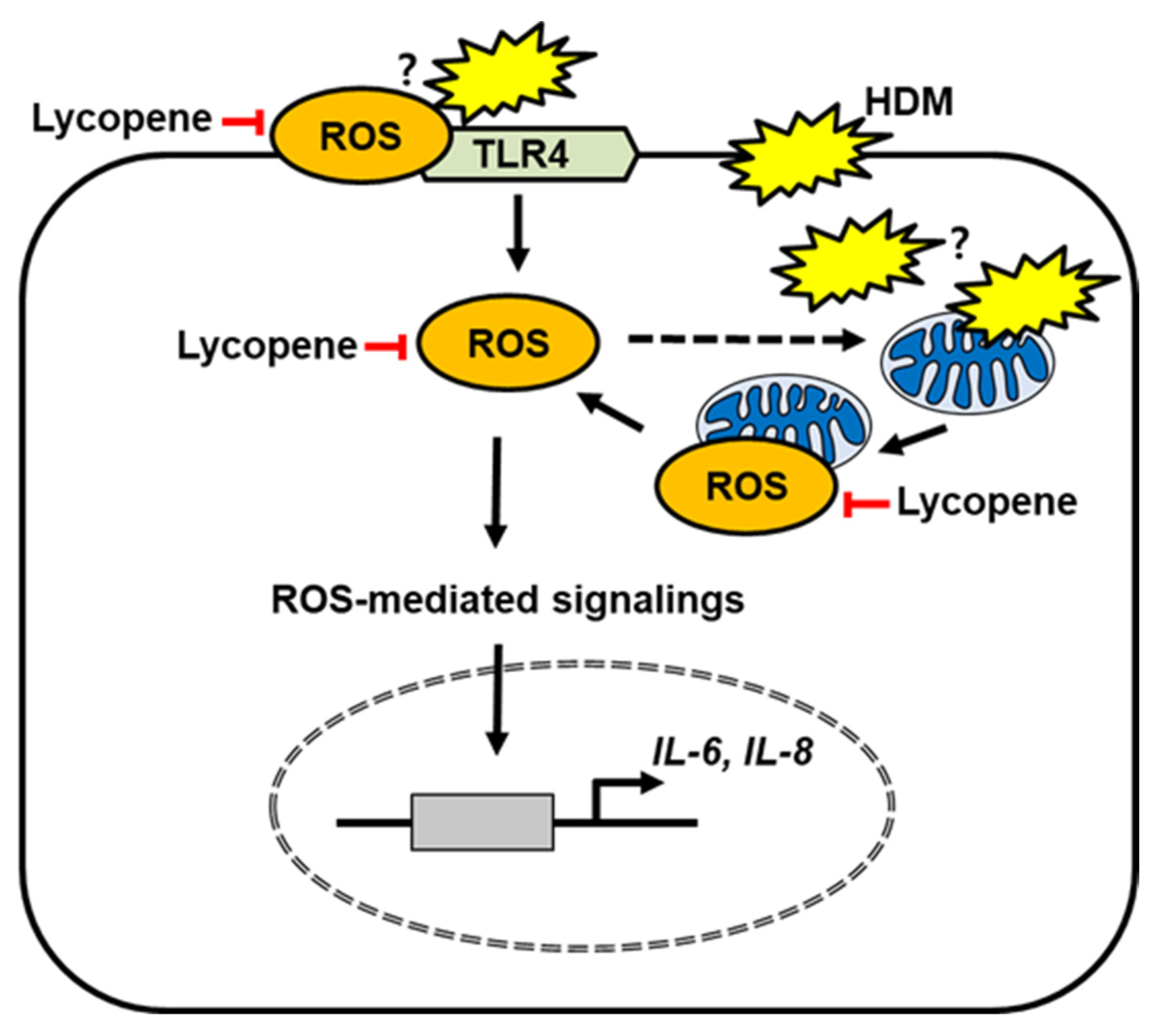 Molecules 26 03127 g006