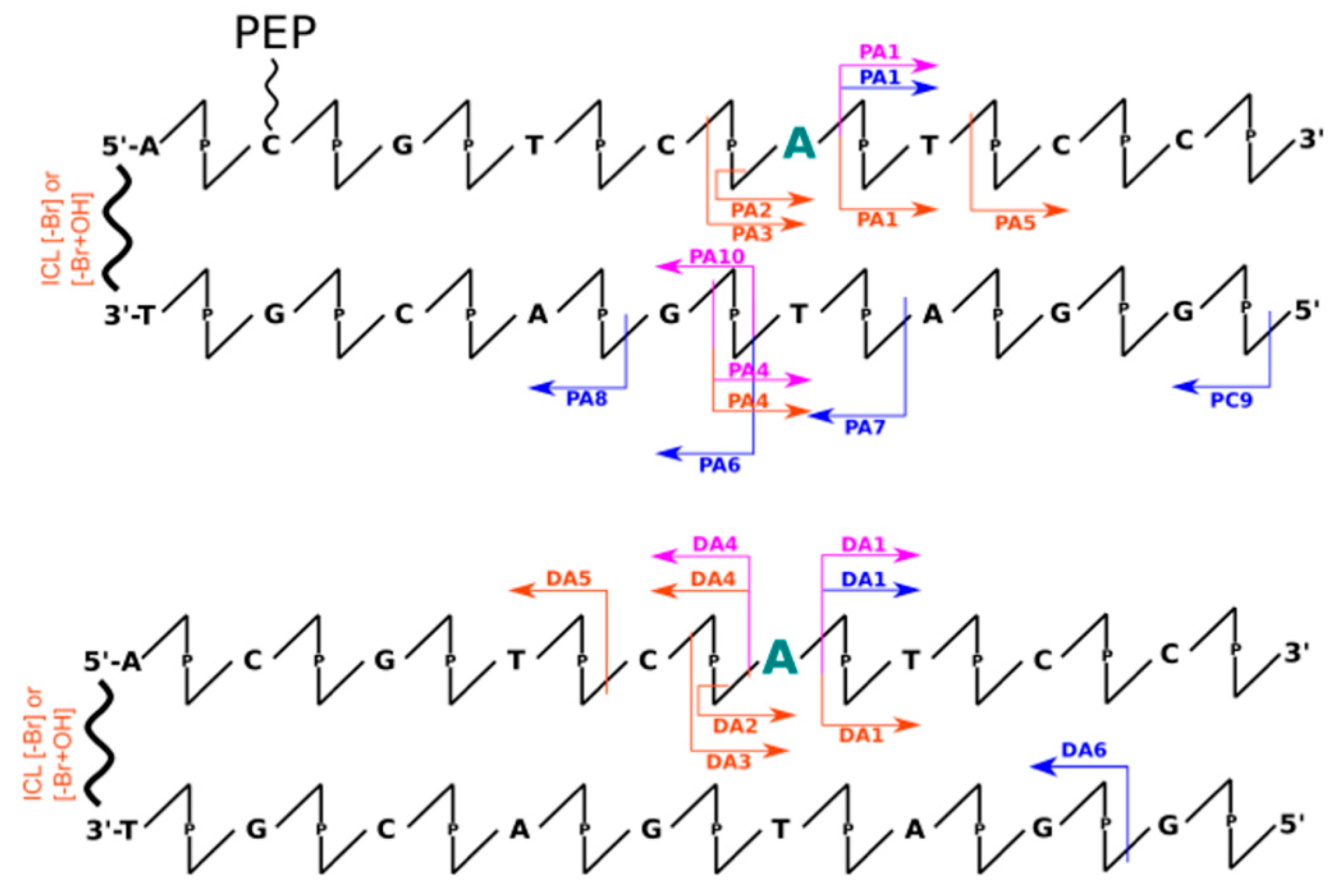 Molecules 26 03132 g001 Molecules 26 03132 g001