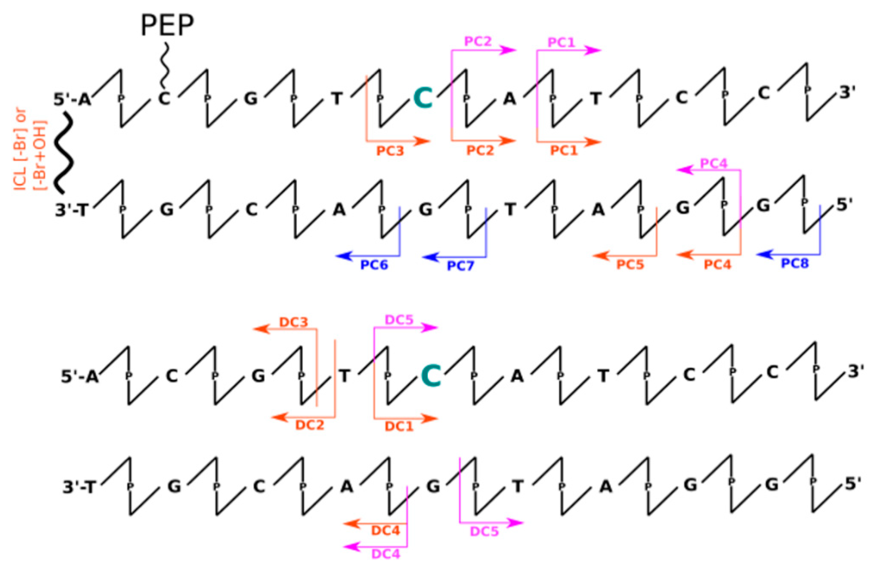 Molecules 26 03132 g002 Molecules 26 03132 g002