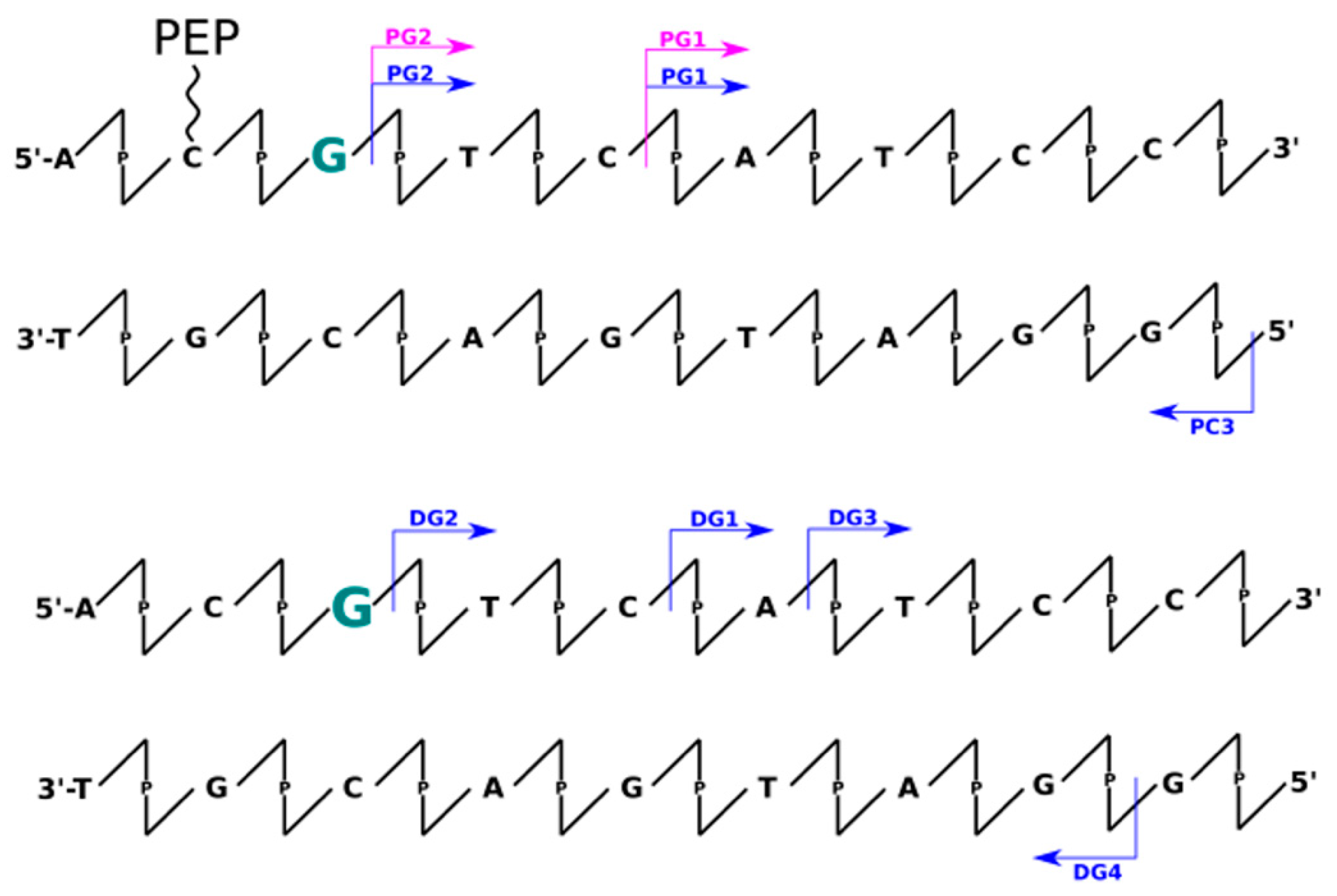 Molecules 26 03132 g003 Molecules 26 03132 g003