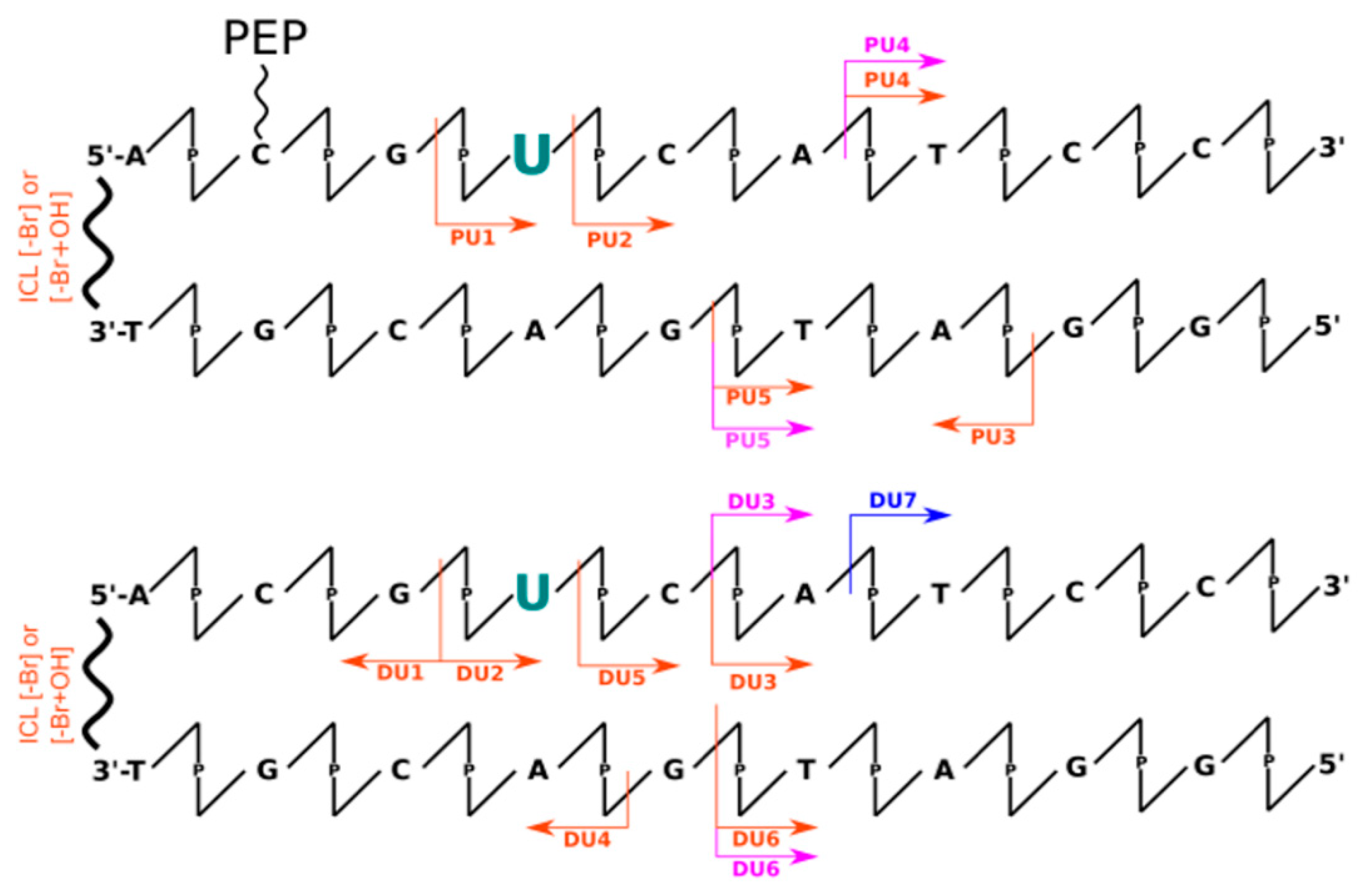Molecules 26 03132 g004 Molecules 26 03132 g004