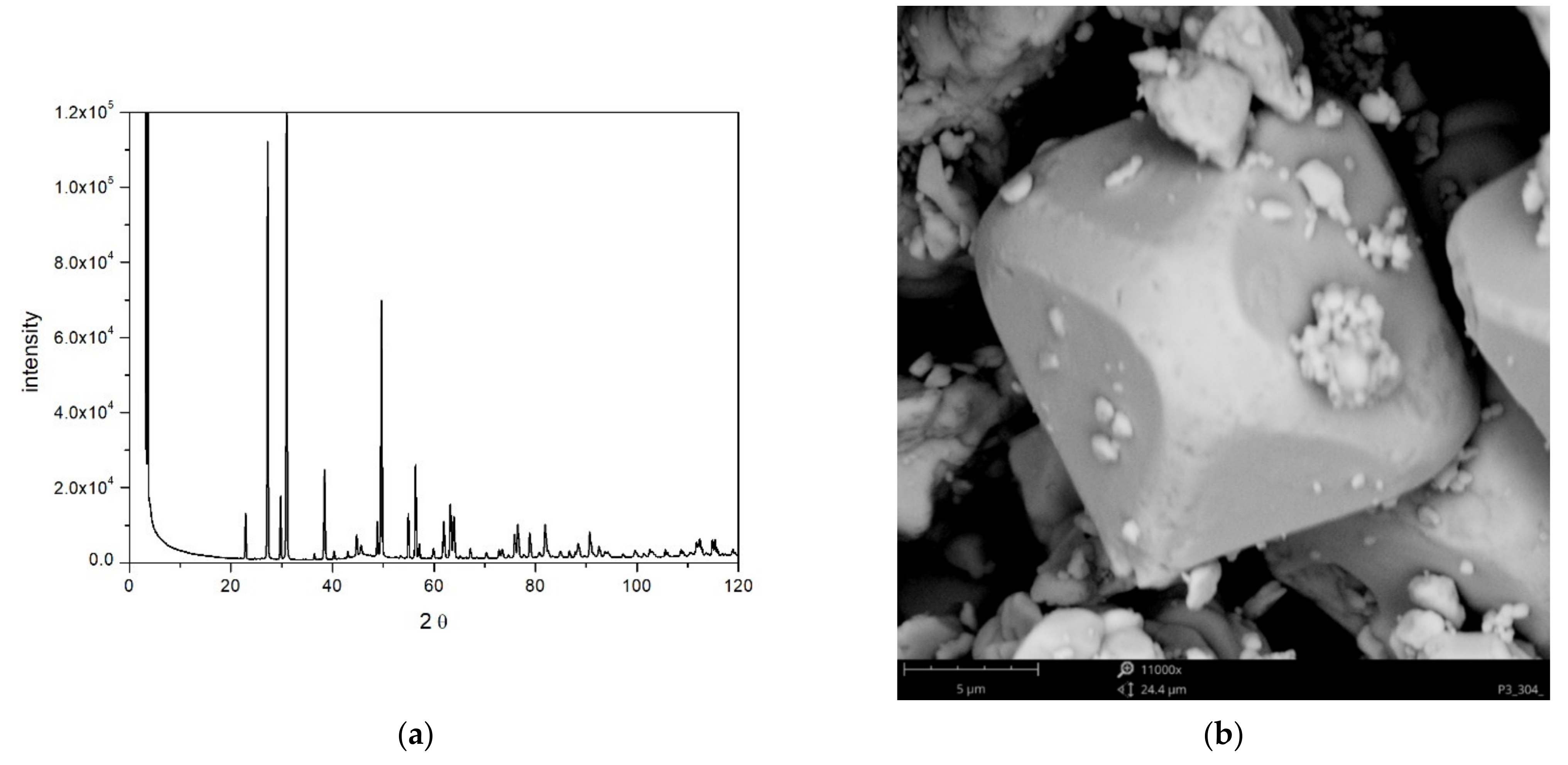 Molecules 26 03136 g001