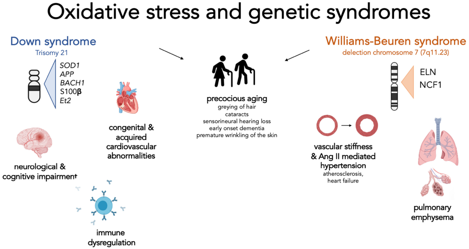 Molecules 26 03139 g001 Molecules 26 03139 g001