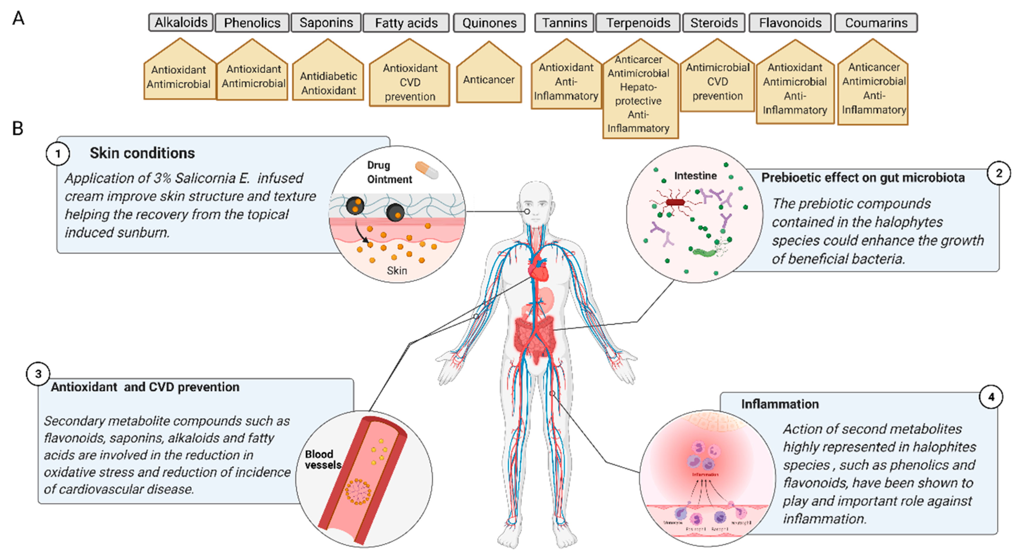 Molecules 26 03140 g002 Molecules 26 03140 g002