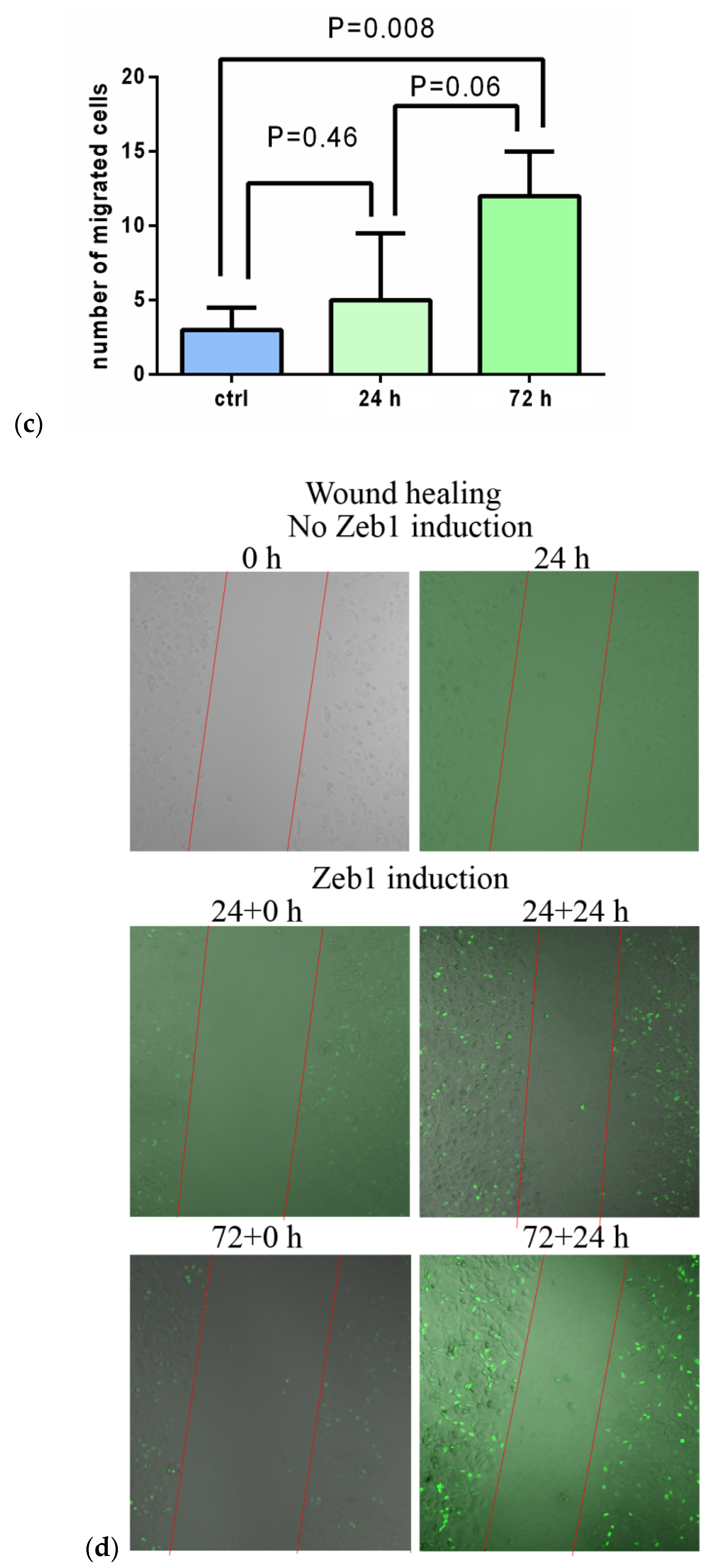 Molecules 26 03143 g001b