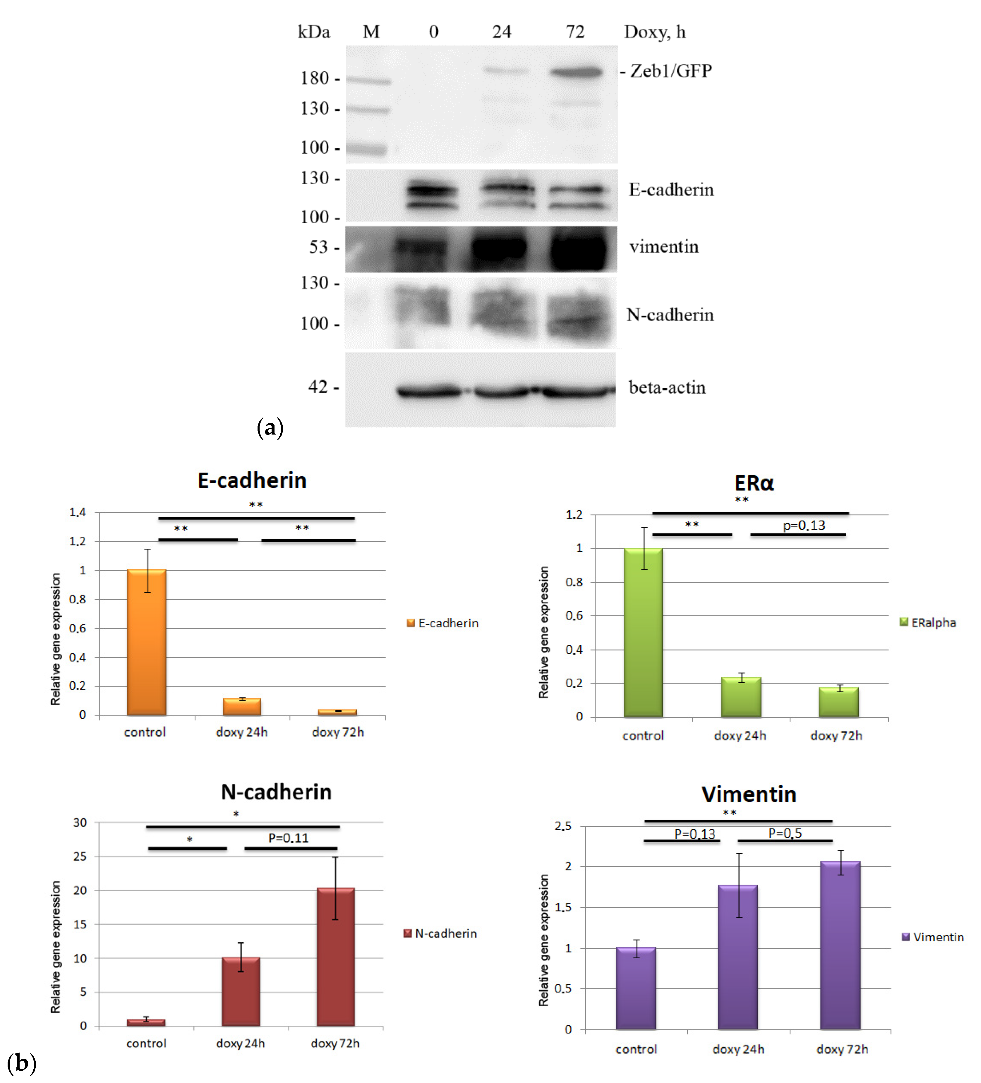 Molecules 26 03143 g002