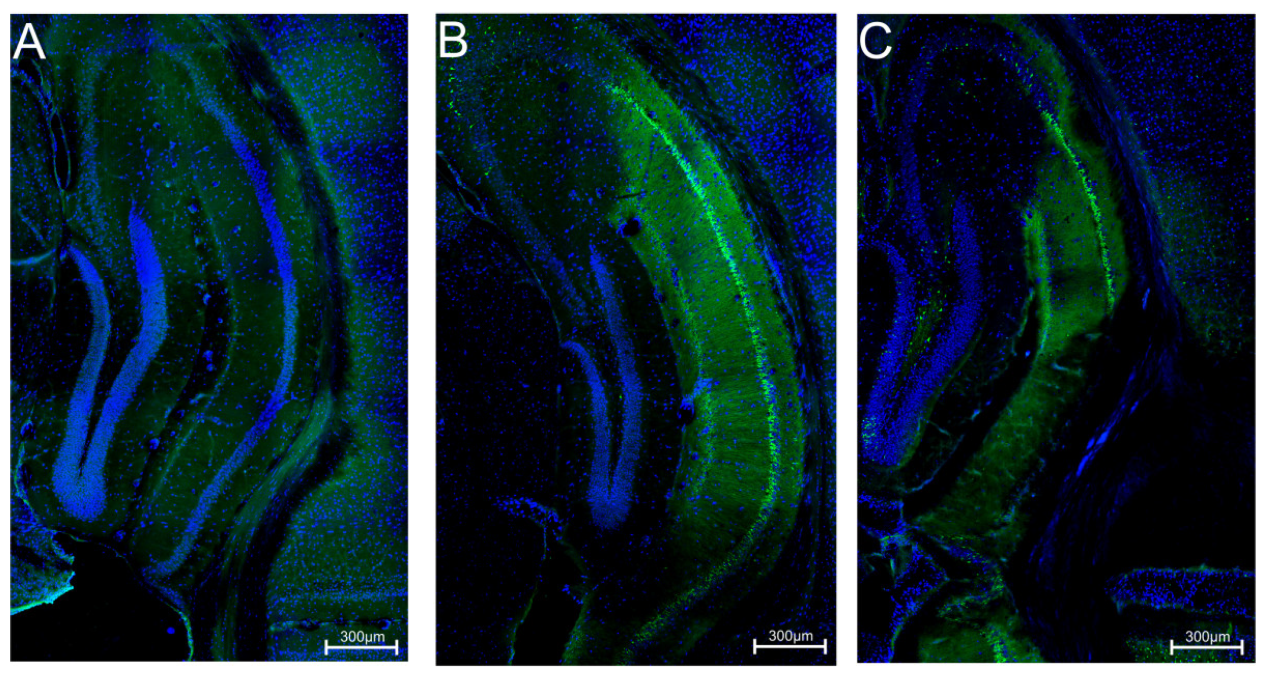 Molecules 26 03144 g004 Molecules 26 03144 g004