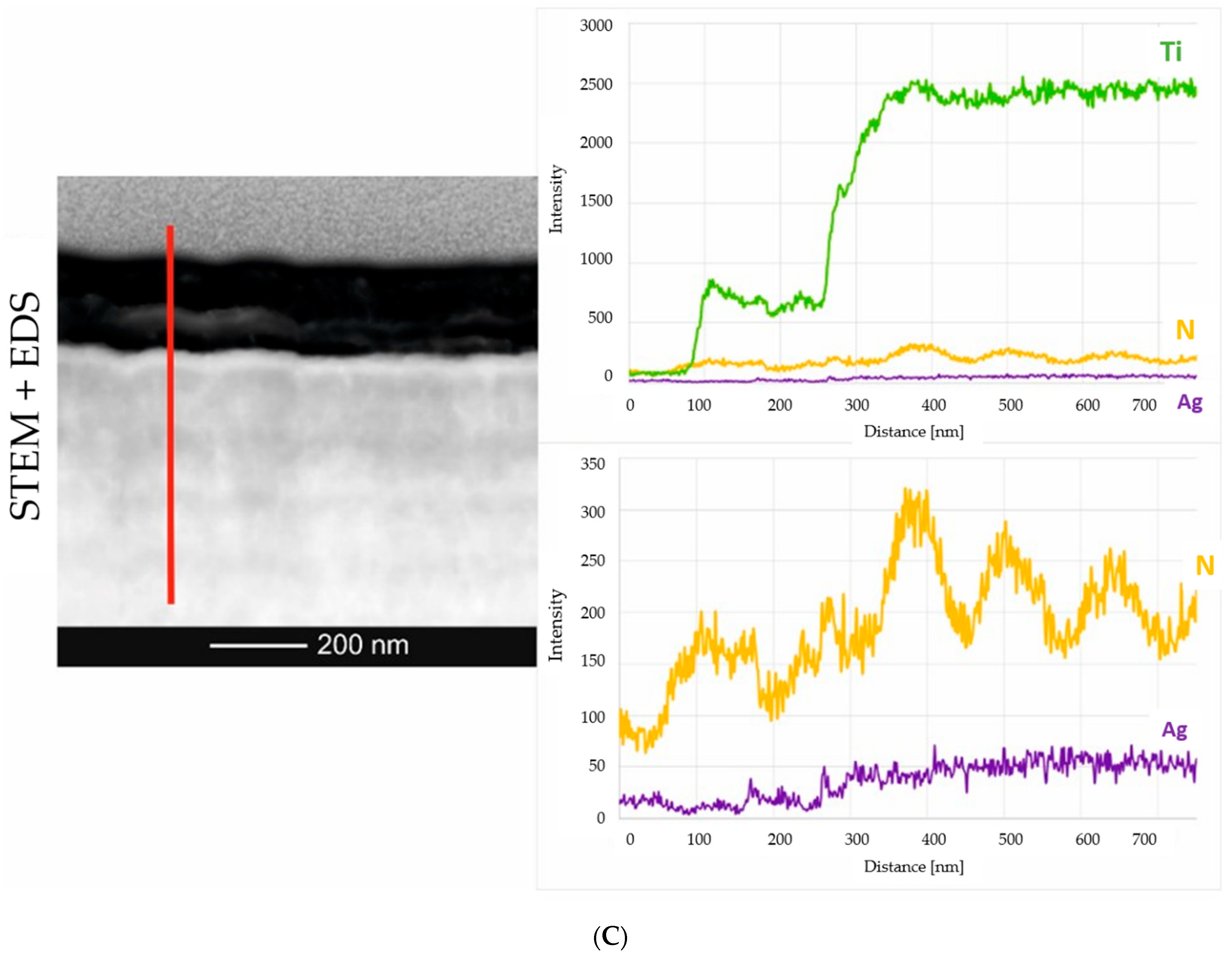 Molecules 26 03145 g002b Molecules 26 03145 g002b