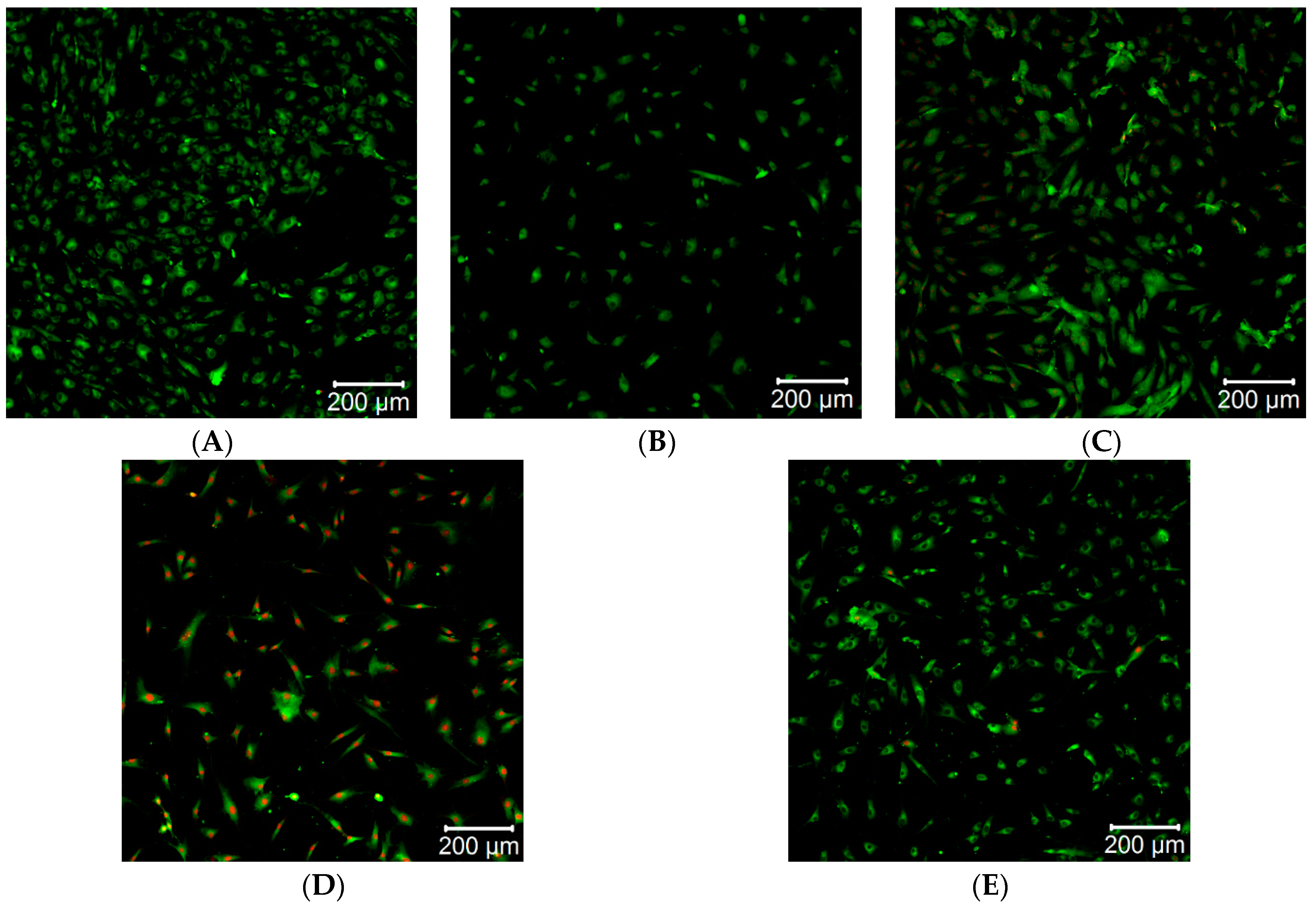 Molecules 26 03145 g003 Molecules 26 03145 g003