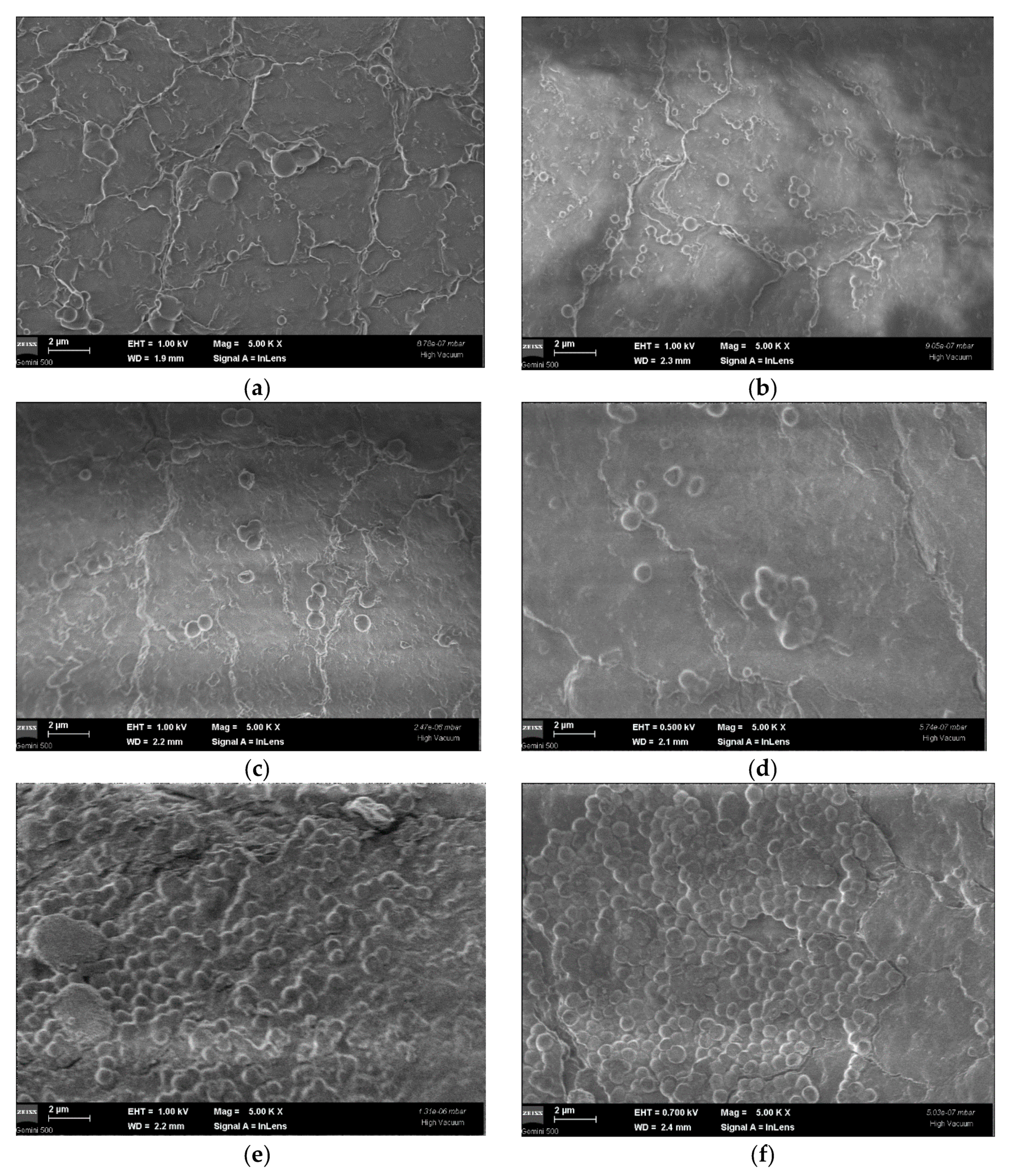 Molecules 26 03146 g002