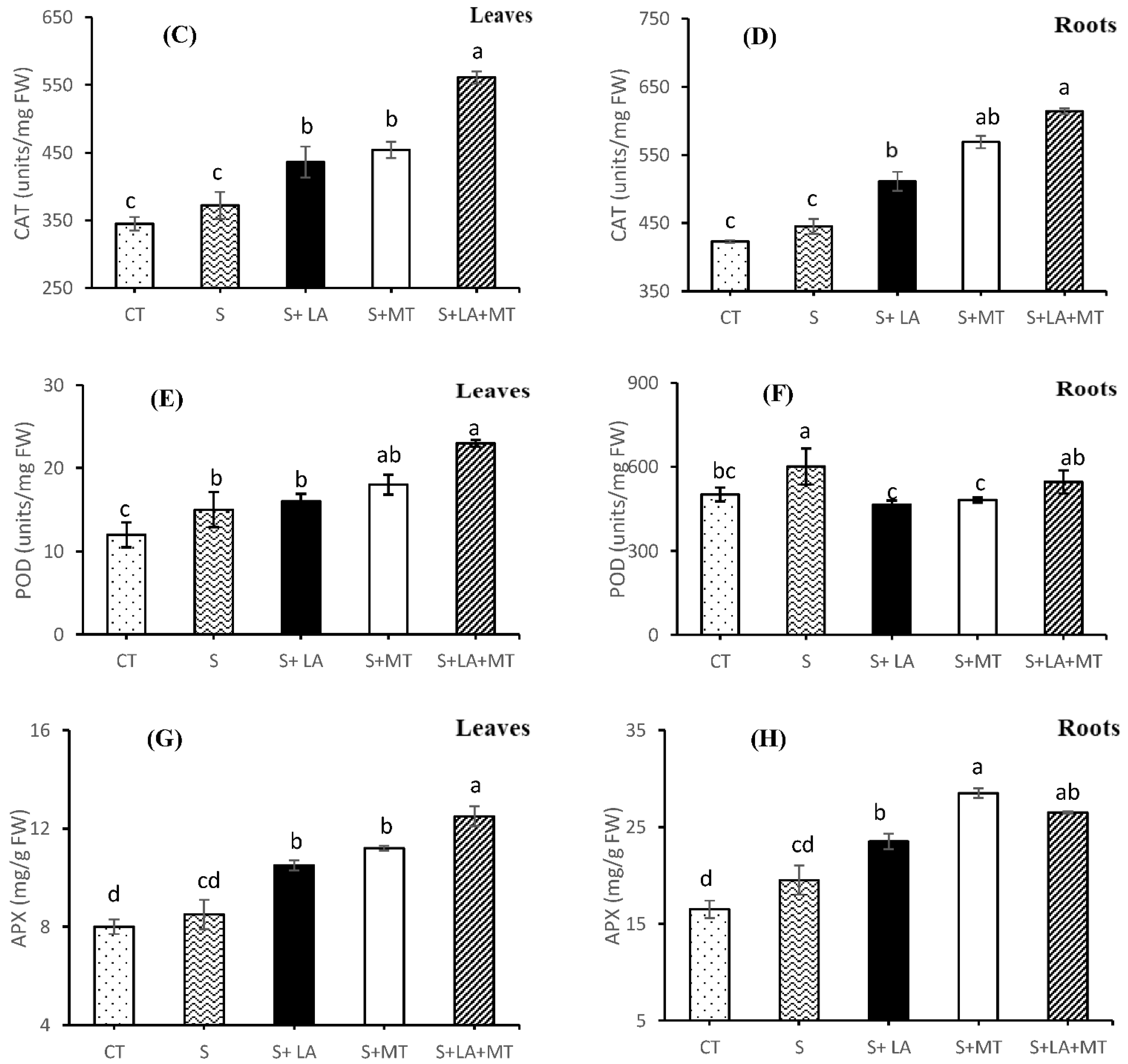 Molecules 26 03147 g005b