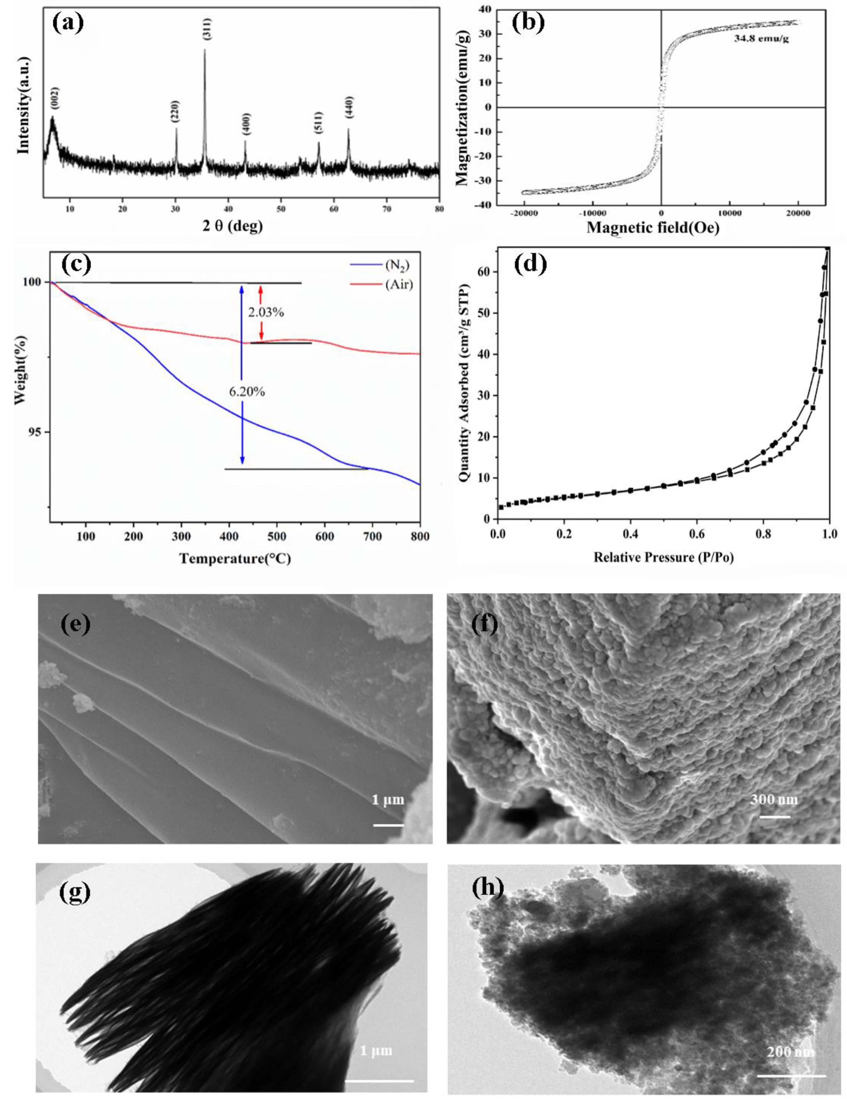 Molecules 26 03150 g001