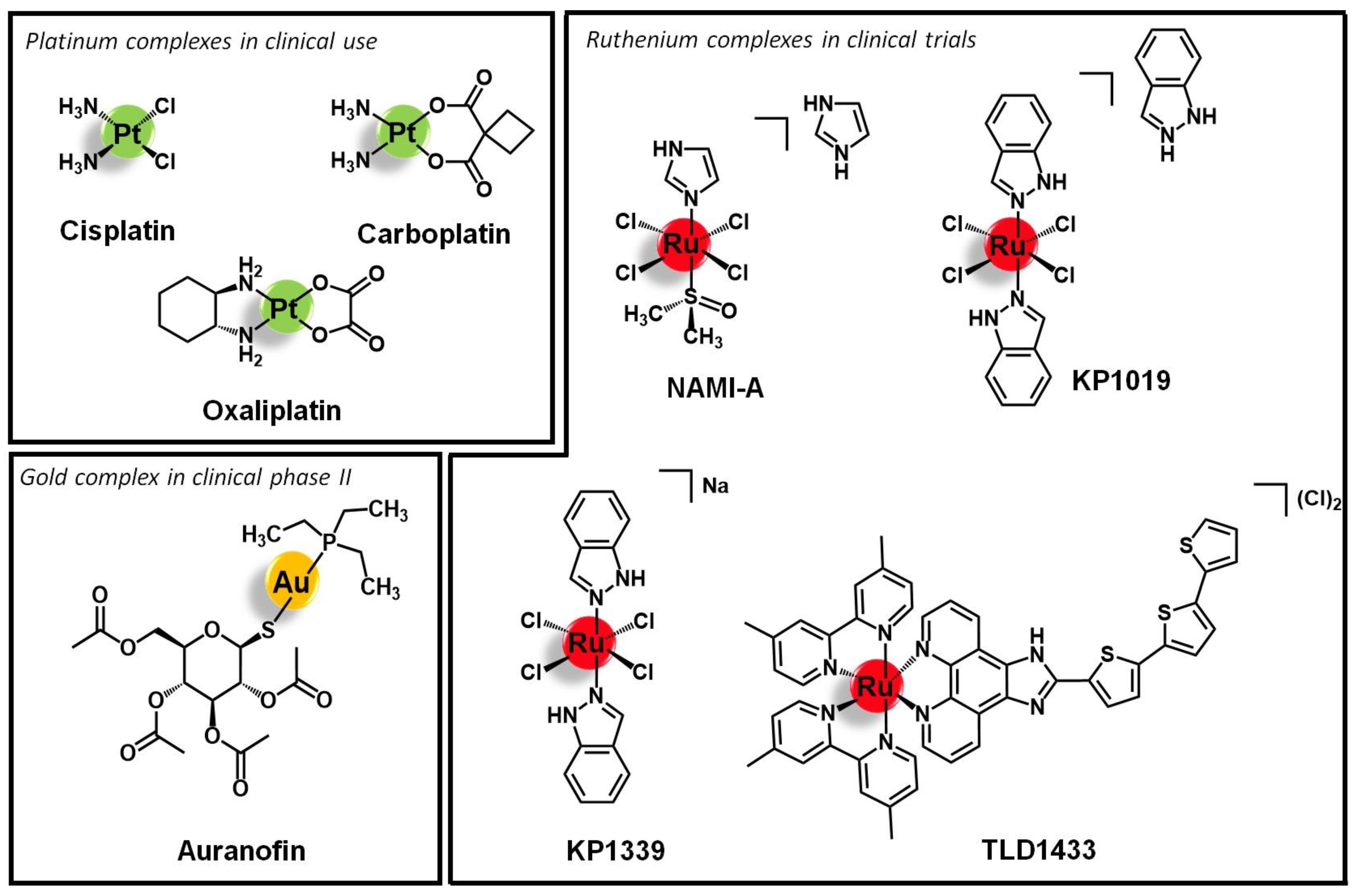 Molecules 26 03153 g001
