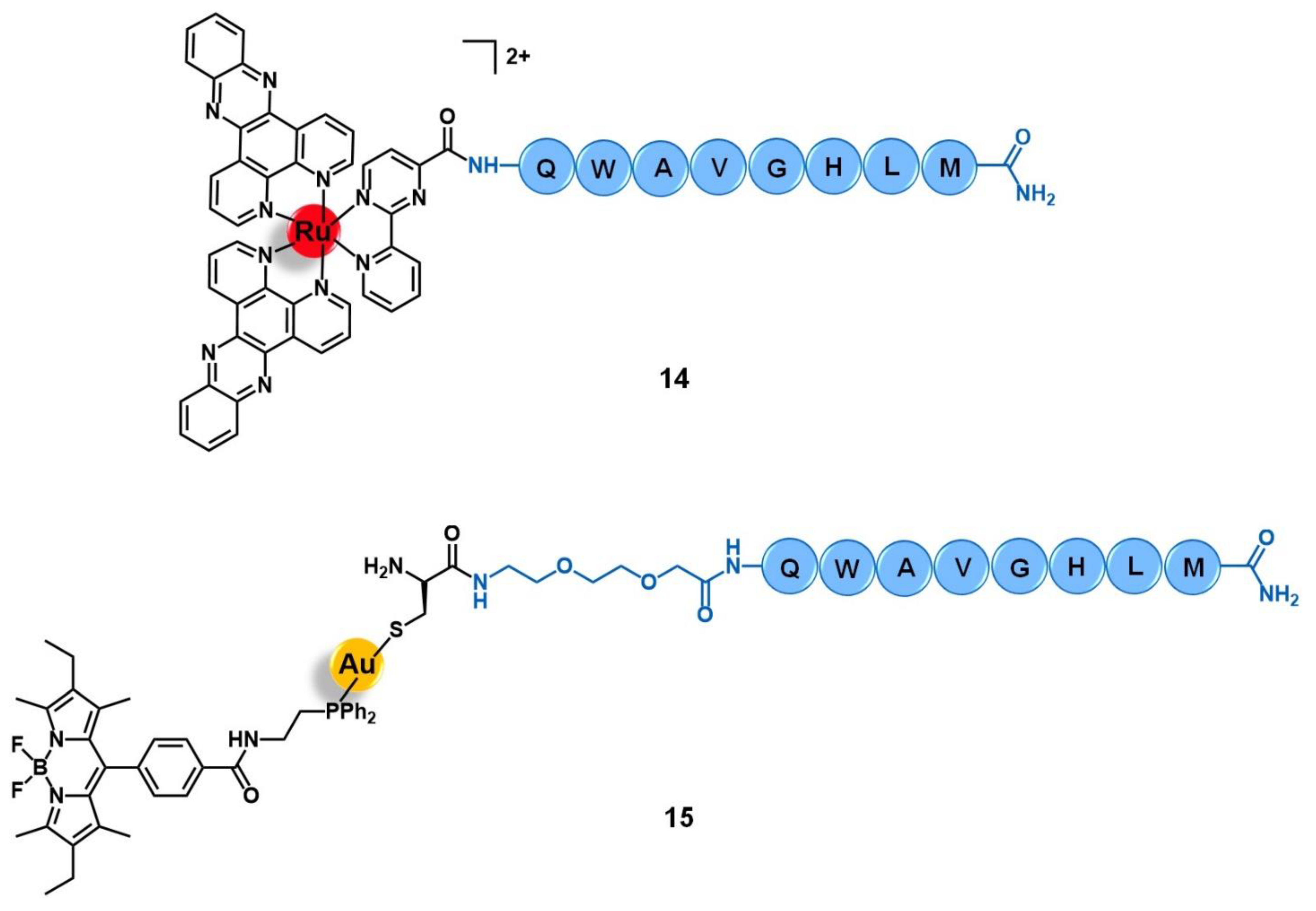 Molecules 26 03153 g006