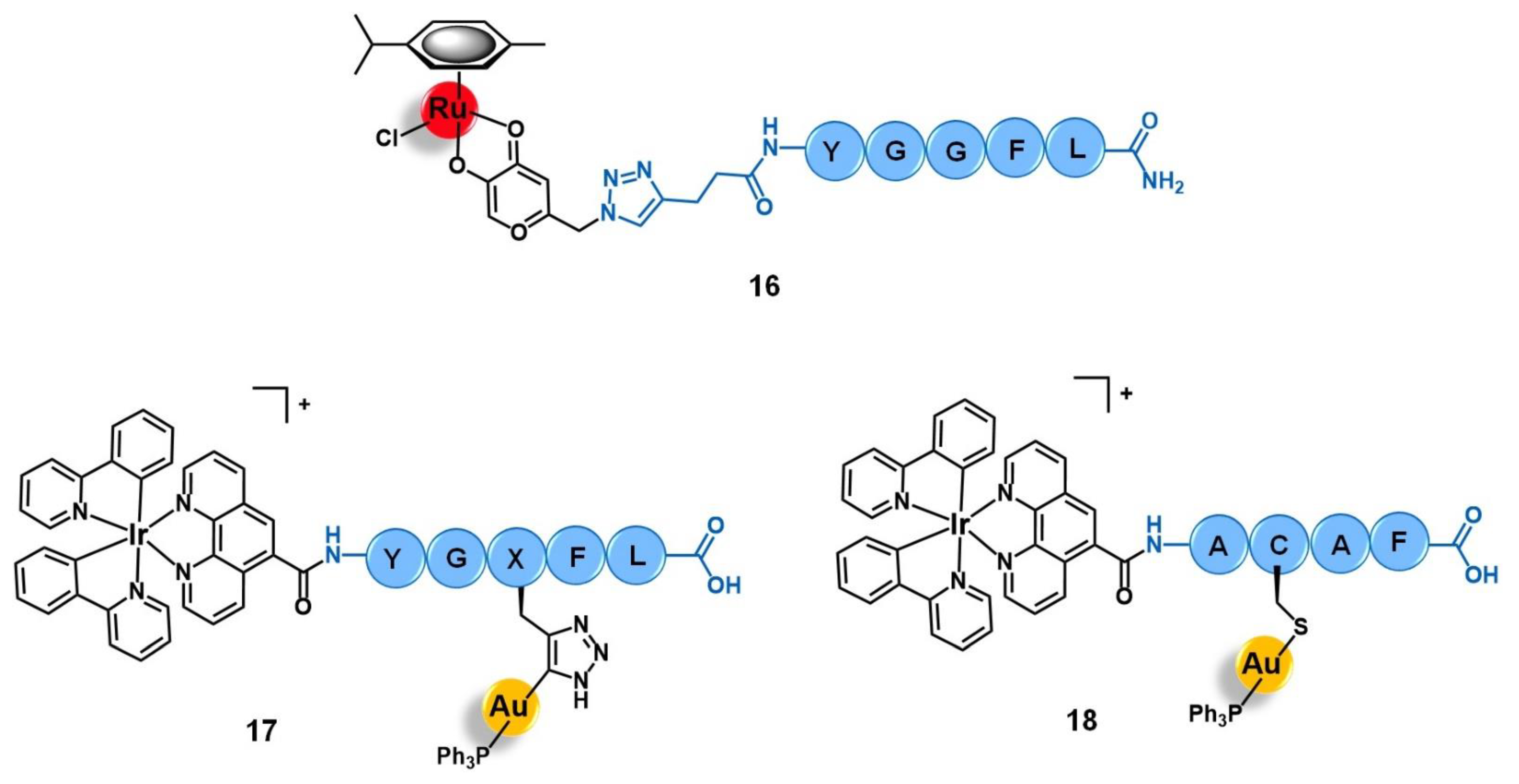 Molecules 26 03153 g007