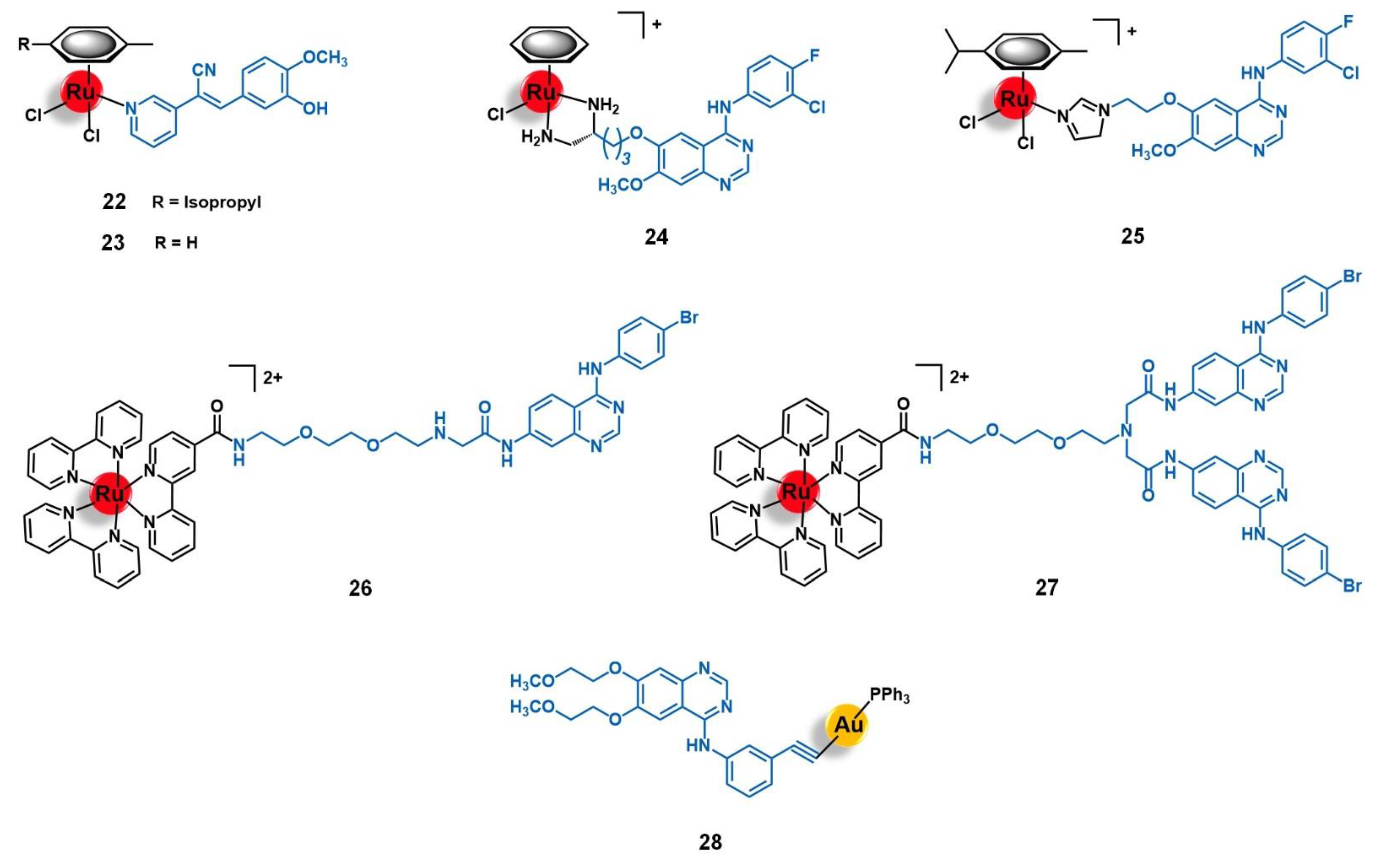 Molecules 26 03153 g009
