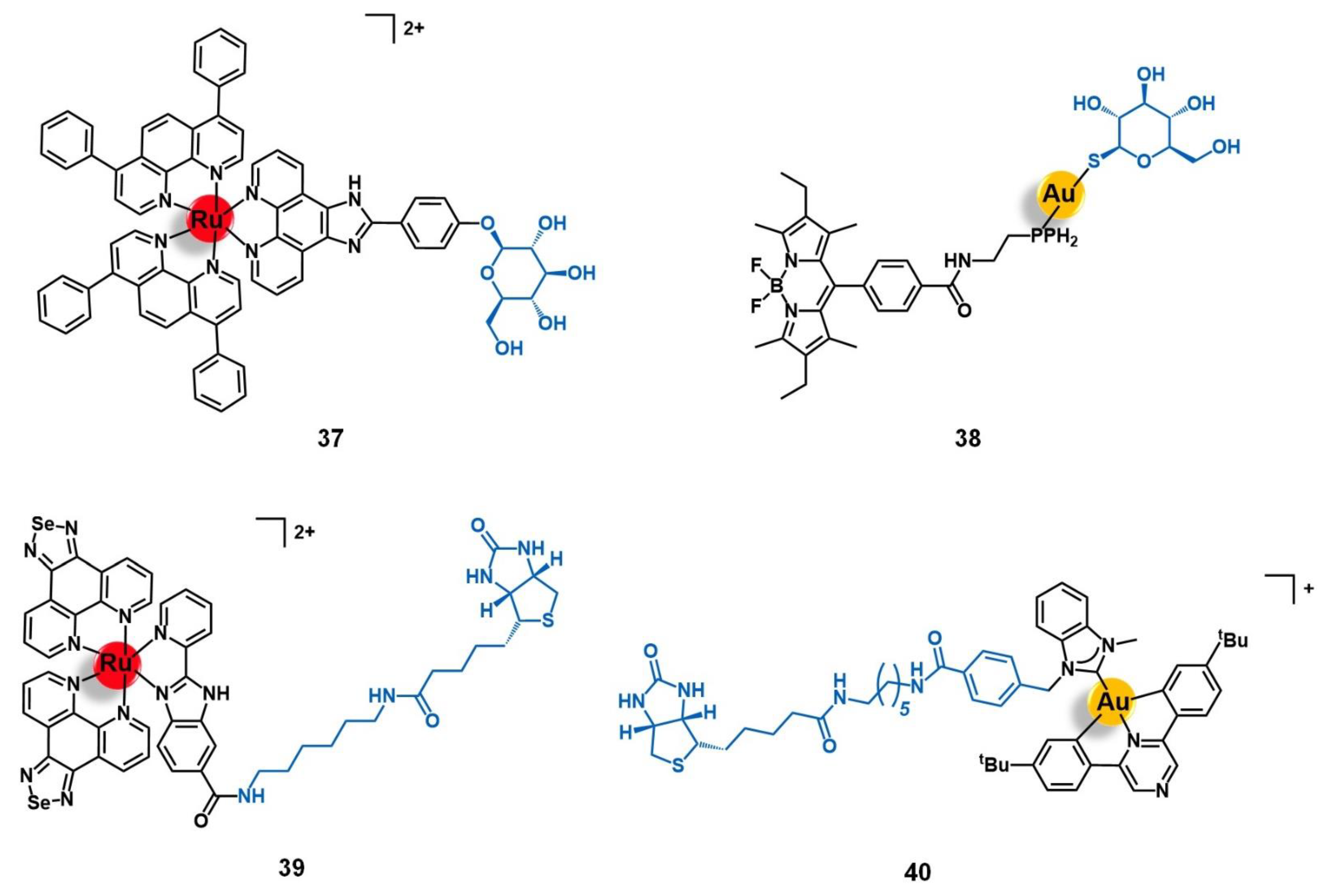 Molecules 26 03153 g013