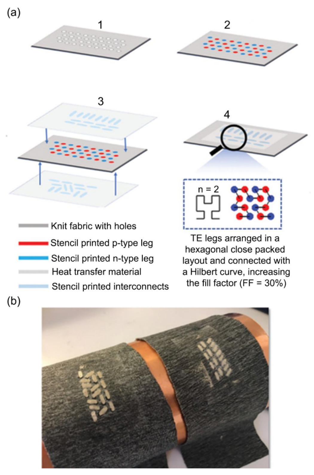 Molecules 26 03154 g006 Molecules 26 03154 g006