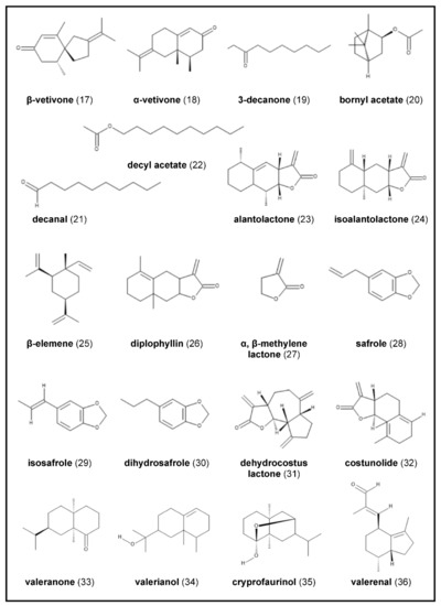 Back to the Roots—An Overview of the Chemical Composition