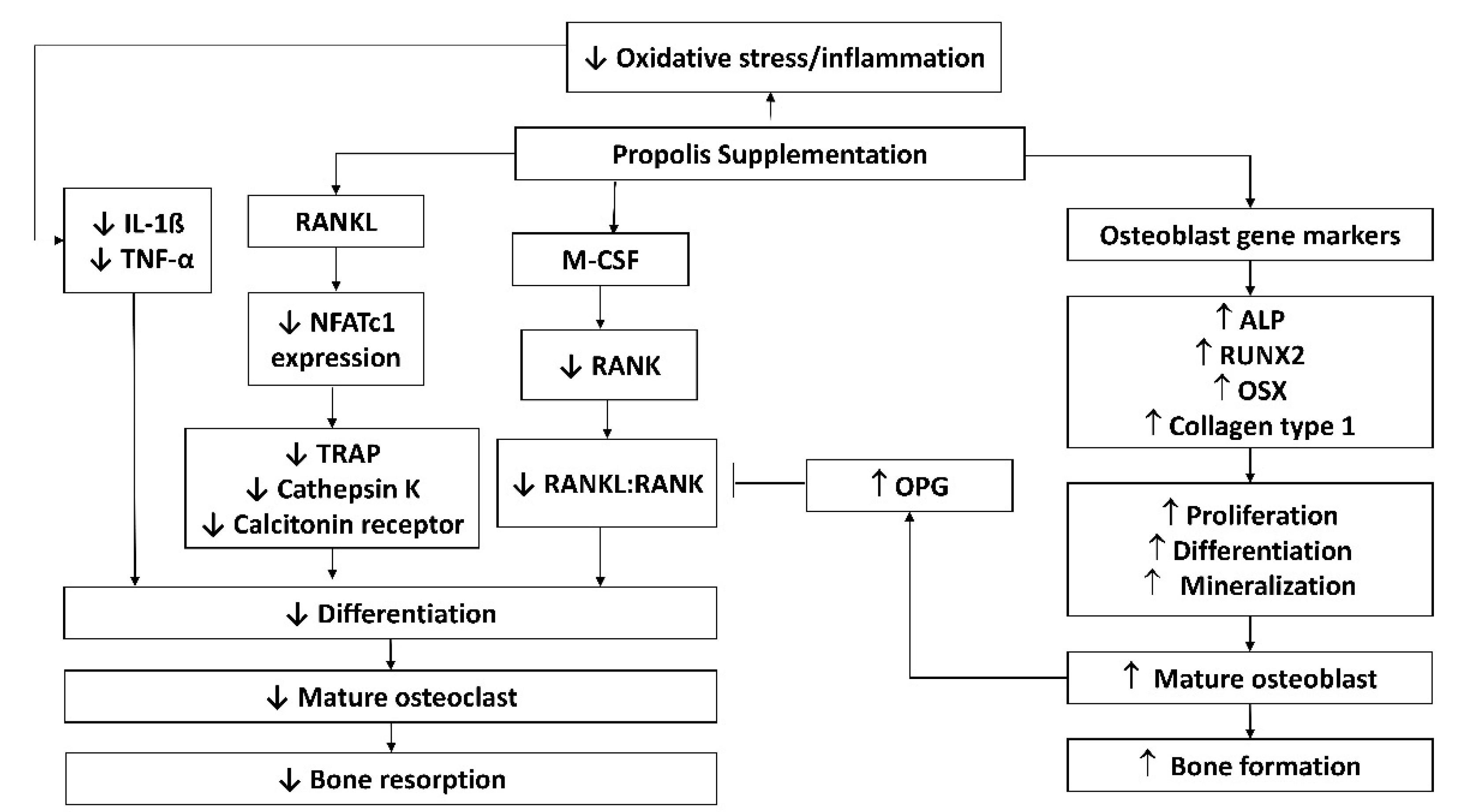 Molecules 26 03156 g001 Molecules 26 03156 g001