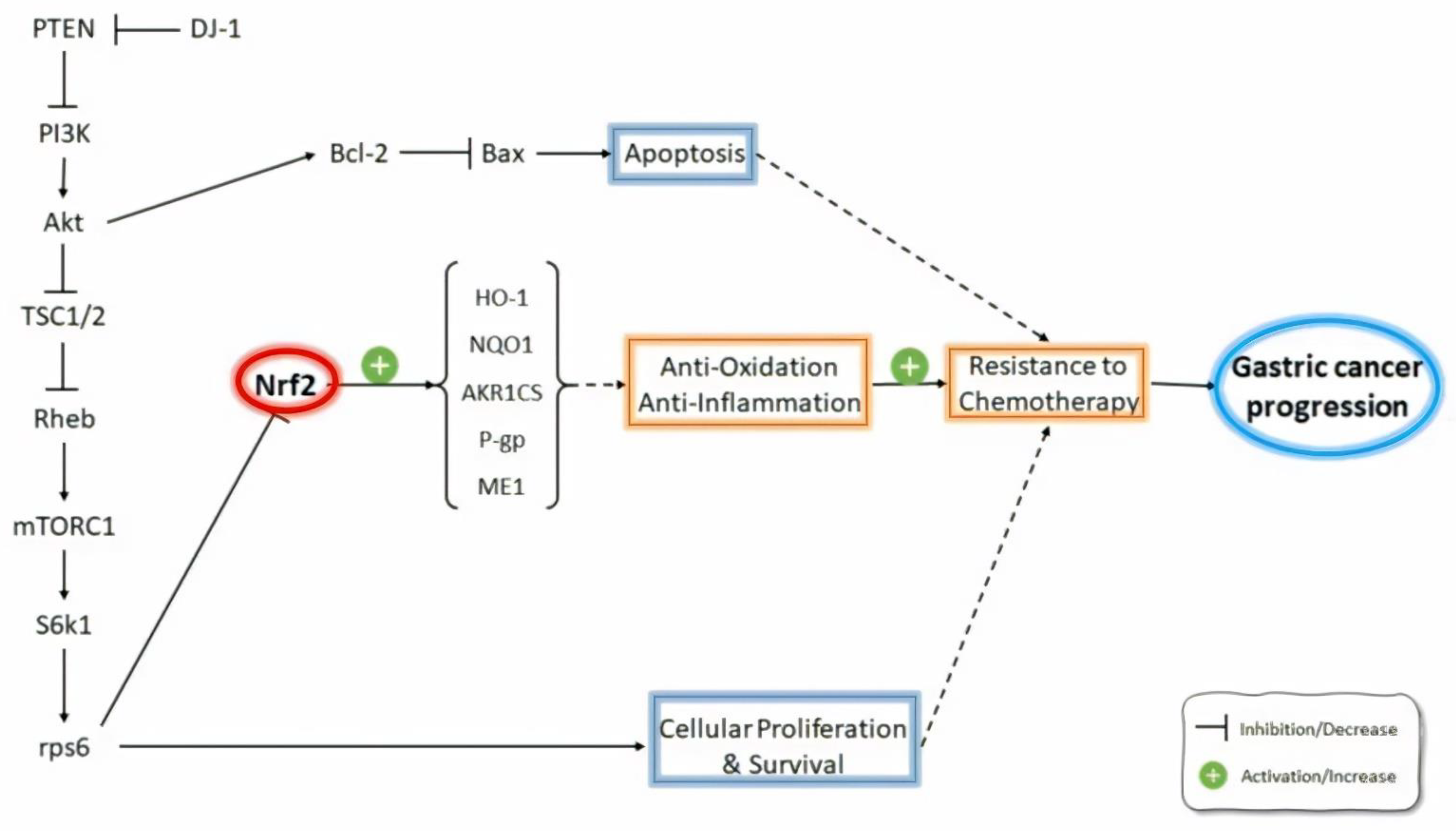 Molecules 26 03157 g002 Molecules 26 03157 g002