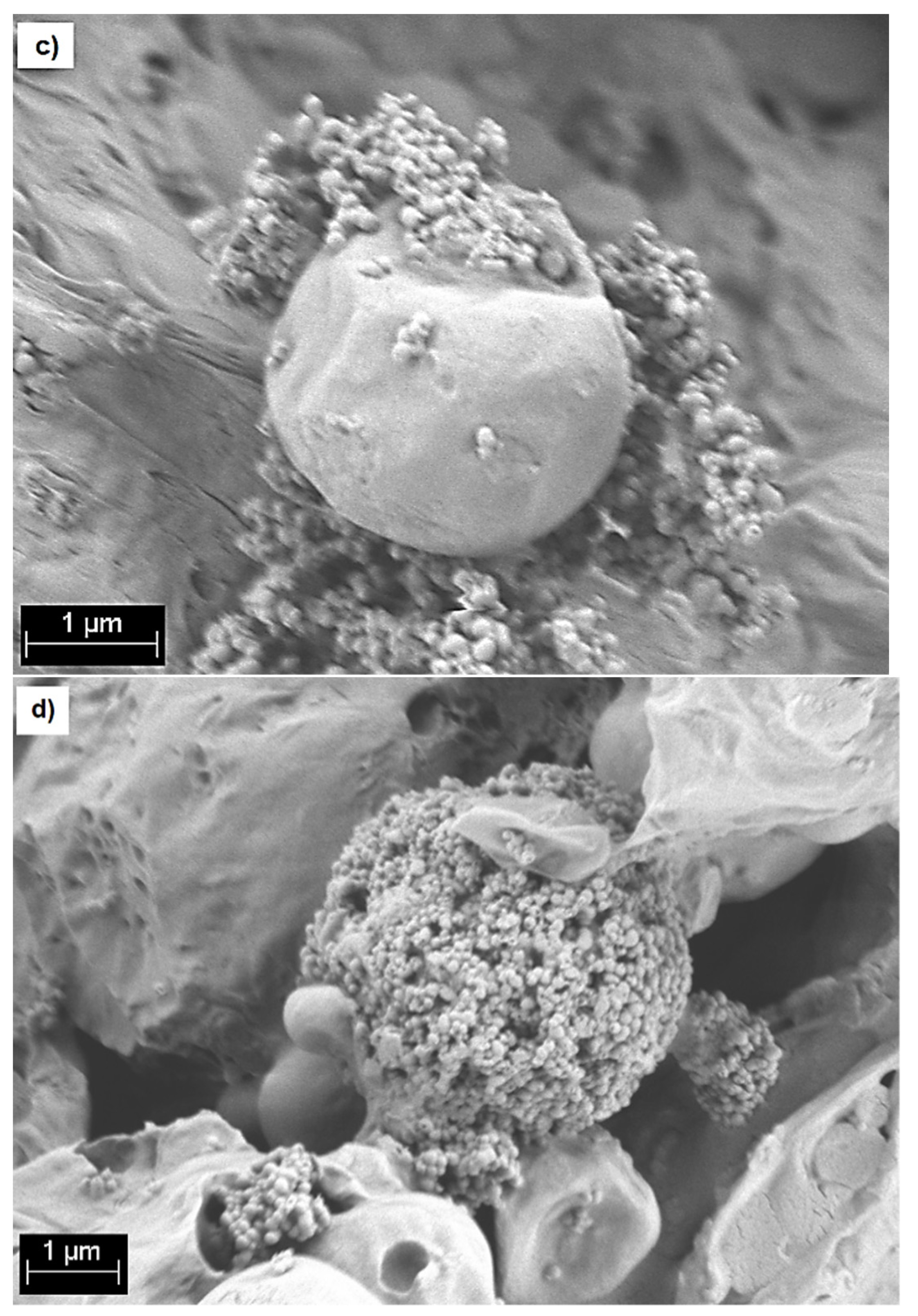 Molecules 26 03177 g002b