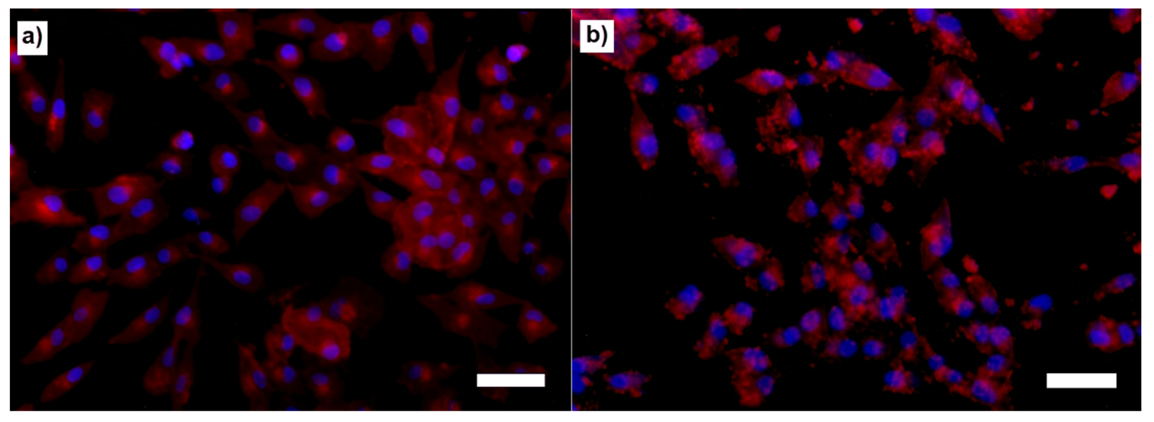 Molecules 26 03177 g008