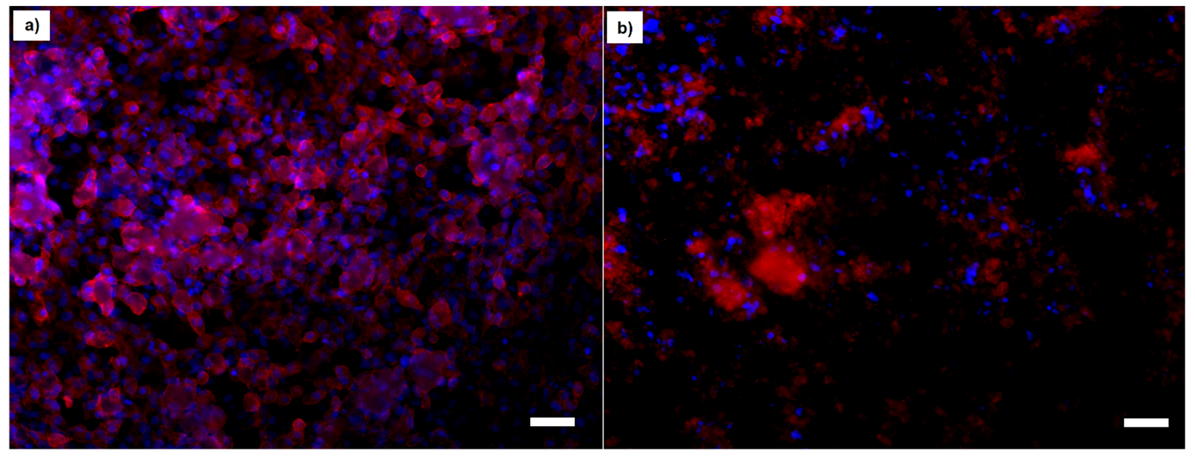 Molecules 26 03177 g010