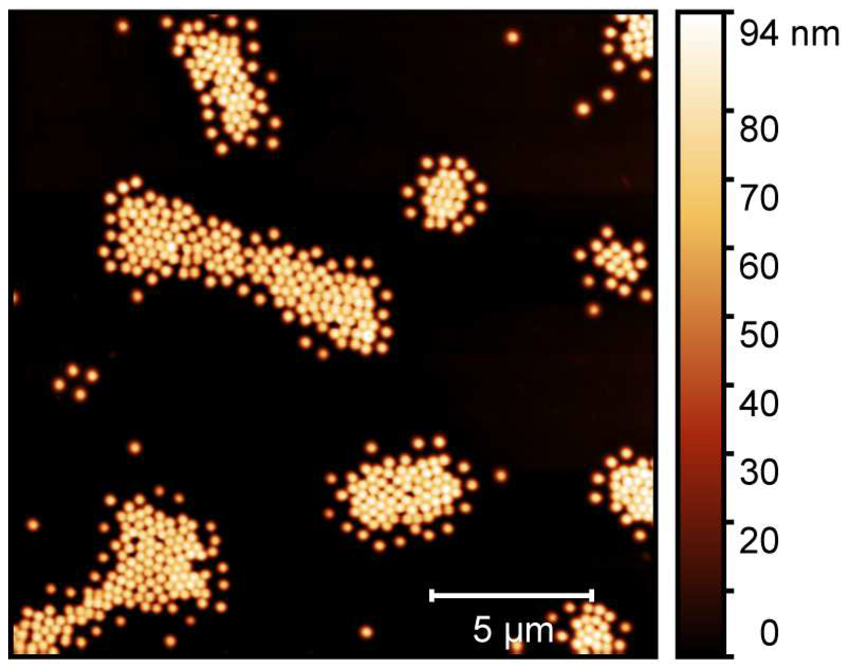 Molecules 26 03181 g003 Molecules 26 03181 g003