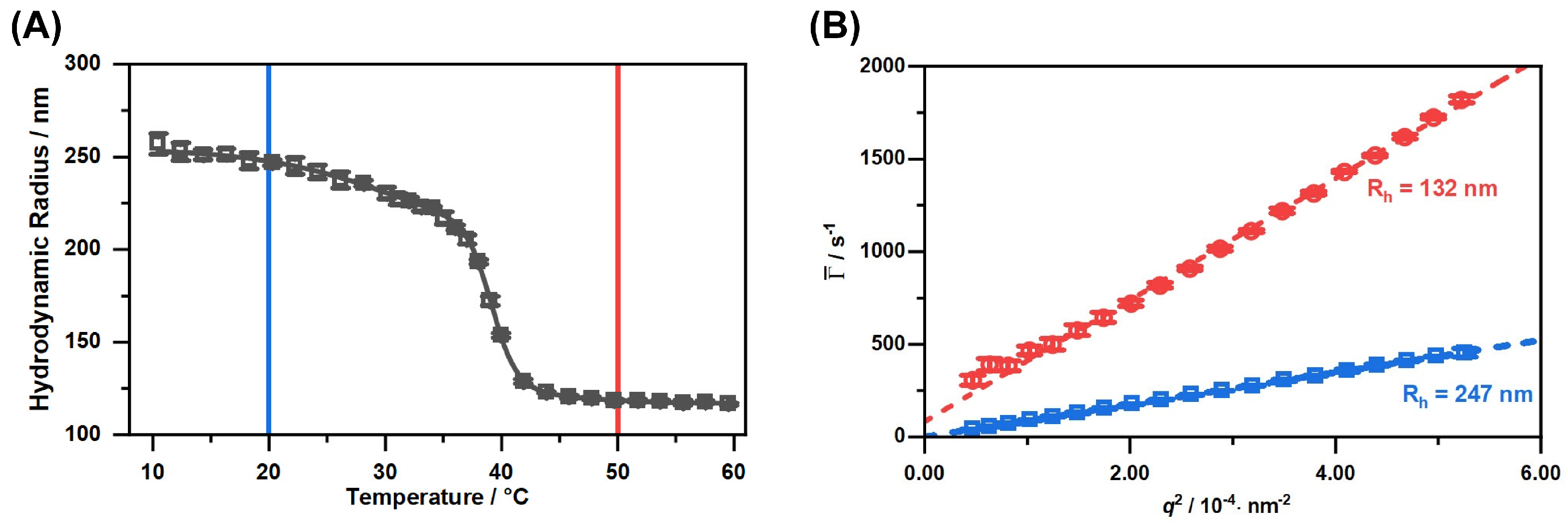 Molecules 26 03181 g004 Molecules 26 03181 g004