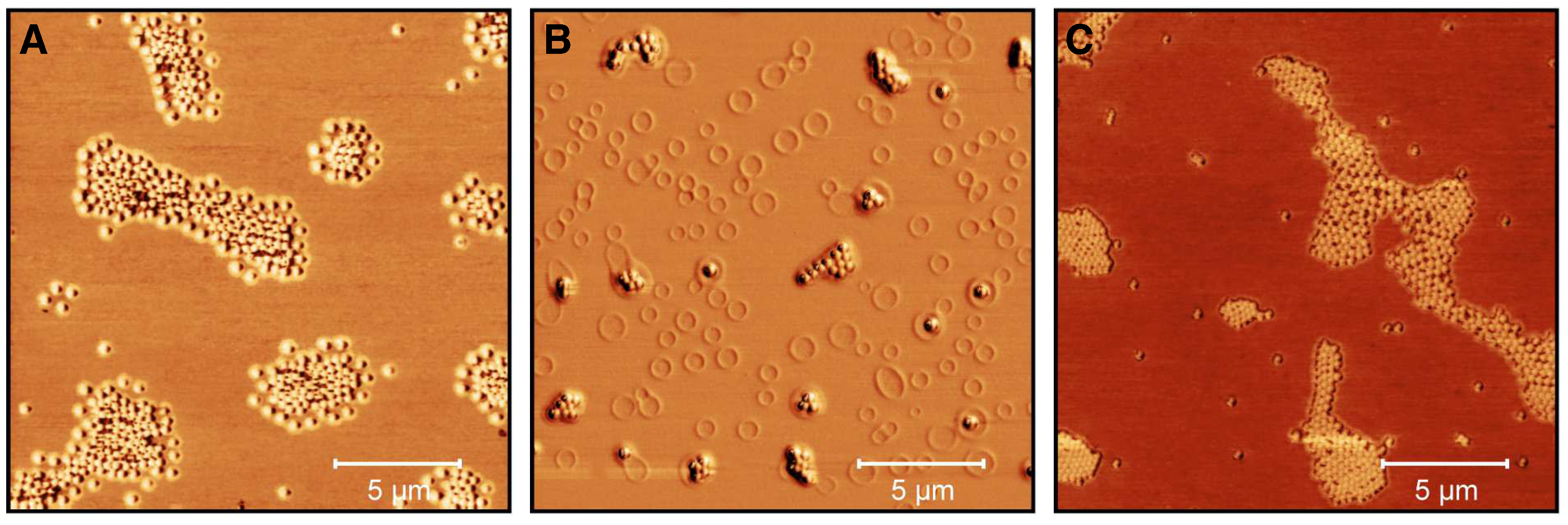 Molecules 26 03181 g010 Molecules 26 03181 g010