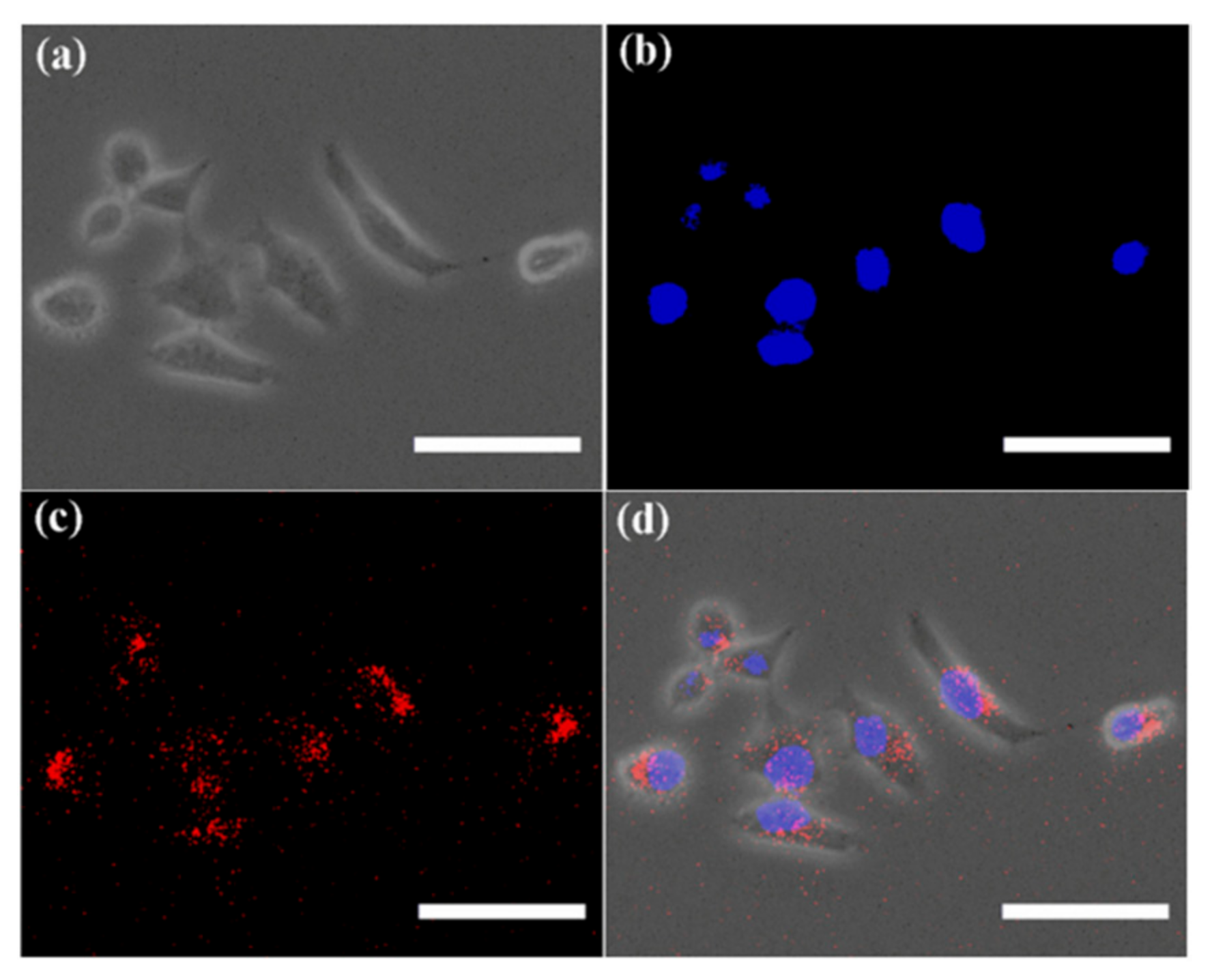 Molecules 26 03190 g006