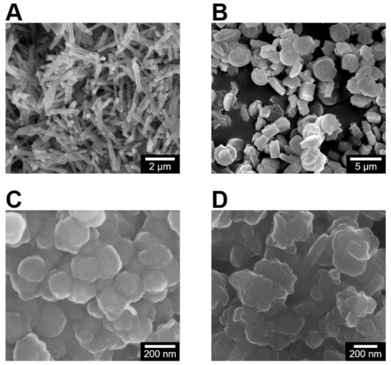 Molecules Free Full Text A Comparative Analysis Of In Vitro Toxicity Of Synthetic Zeolites On Imr 90 Human Lung Fibroblast Cells Html