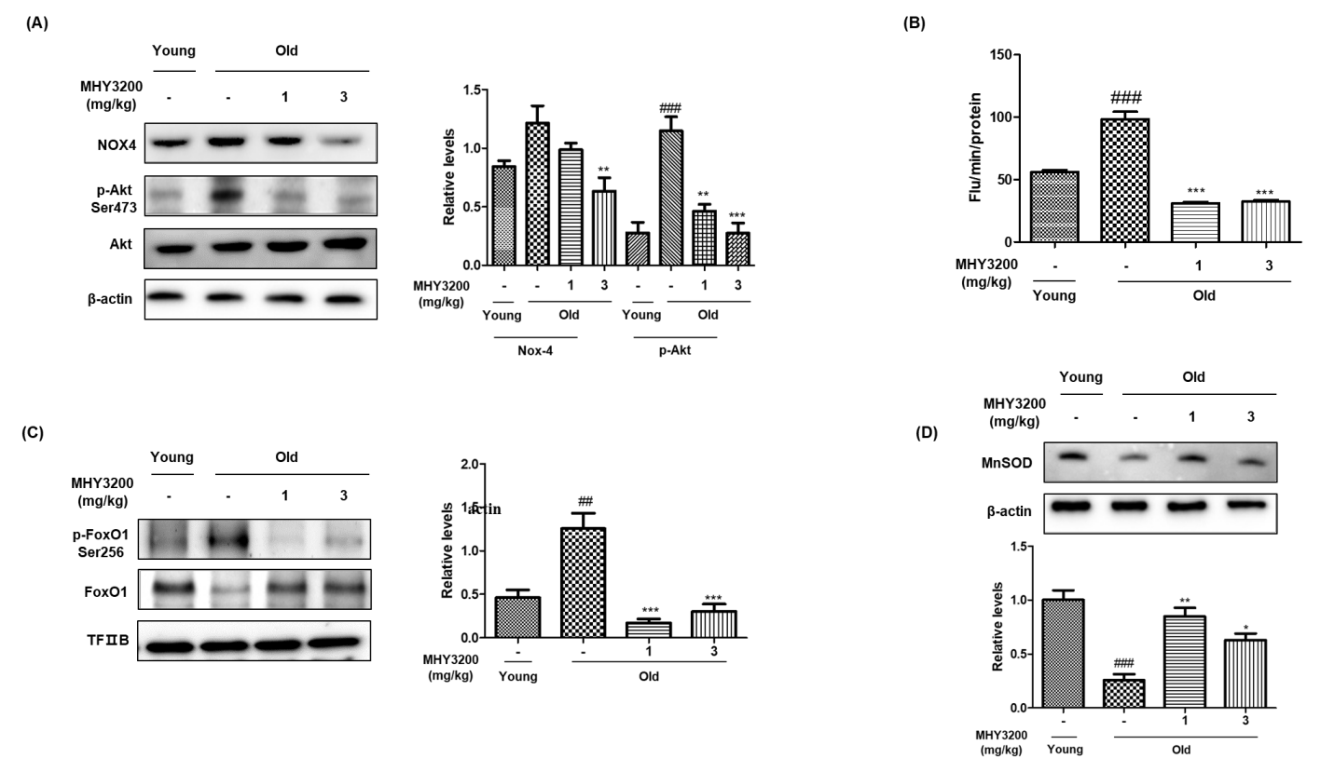 Molecules 26 03197 g002 Molecules 26 03197 g002