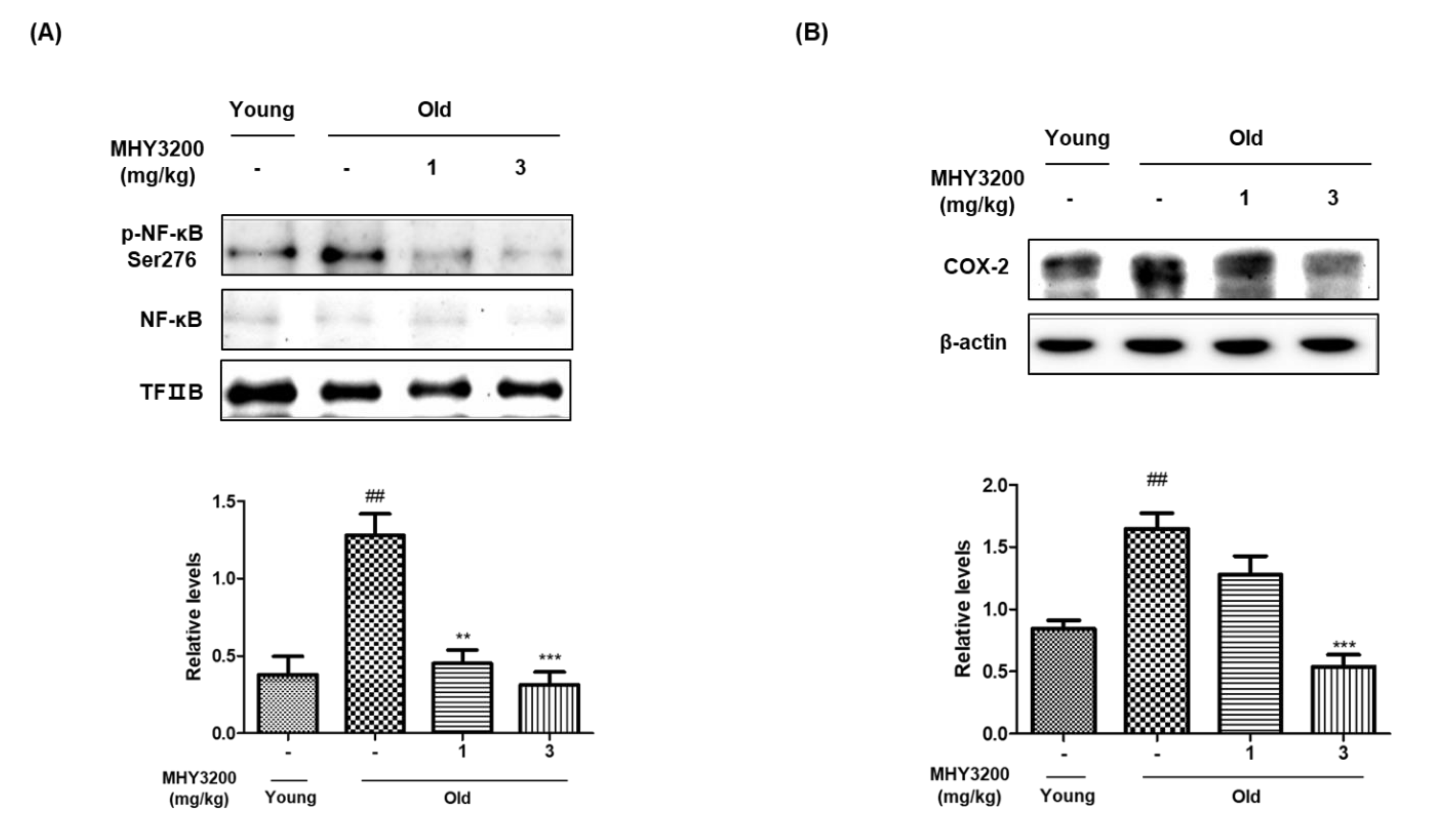 Molecules 26 03197 g003 Molecules 26 03197 g003