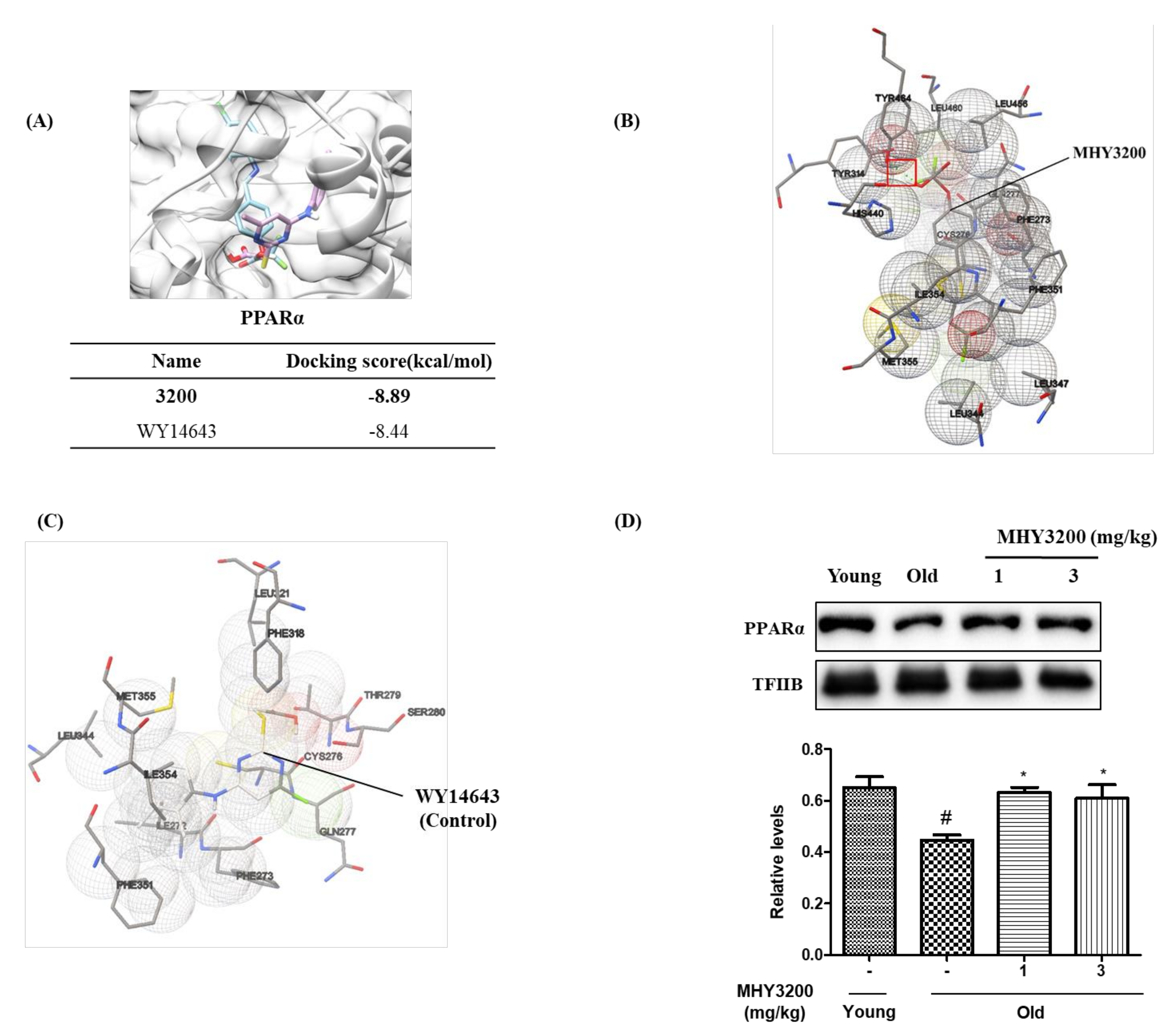 Molecules 26 03197 g004 Molecules 26 03197 g004
