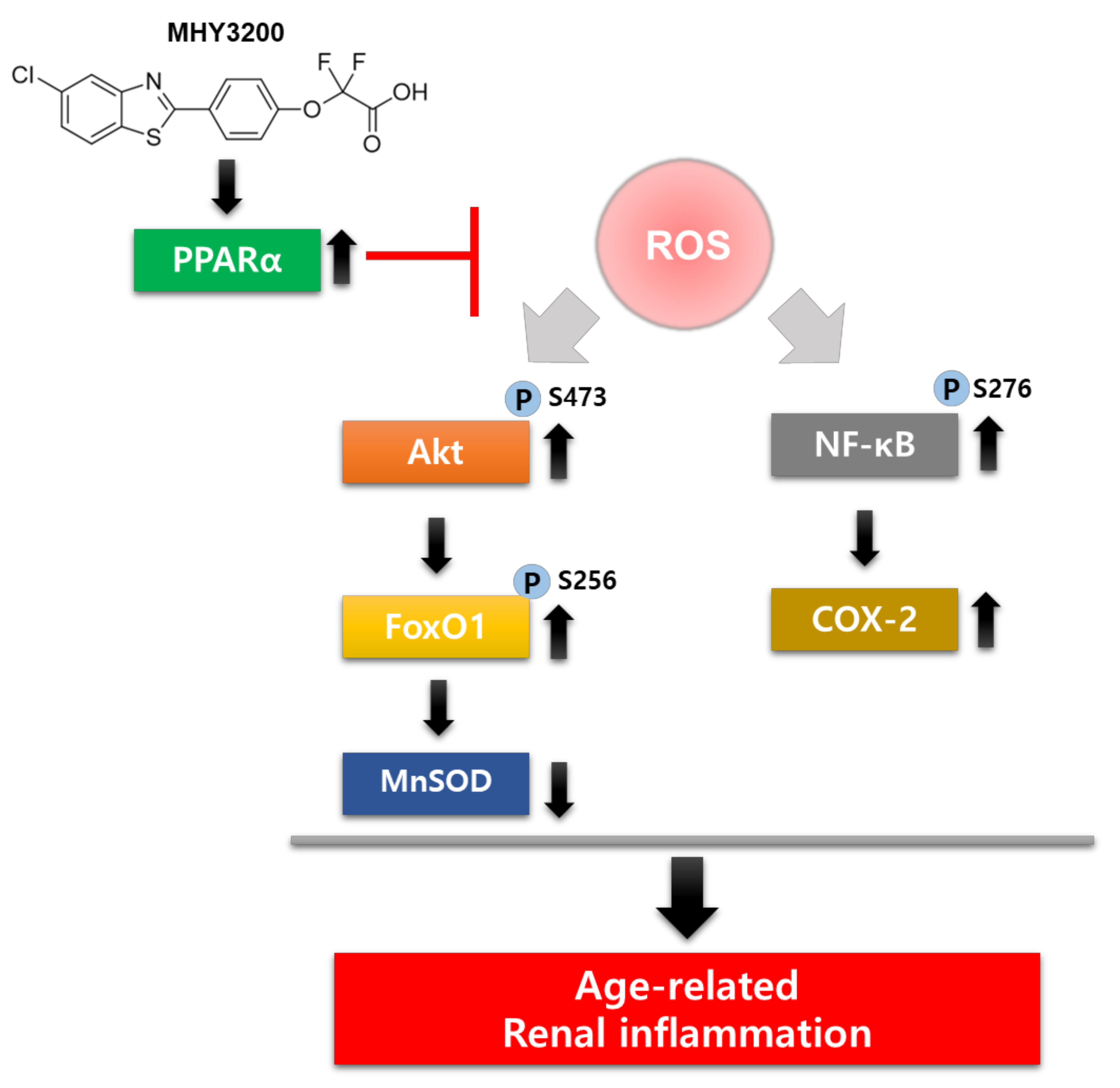 Molecules 26 03197 g005 Molecules 26 03197 g005