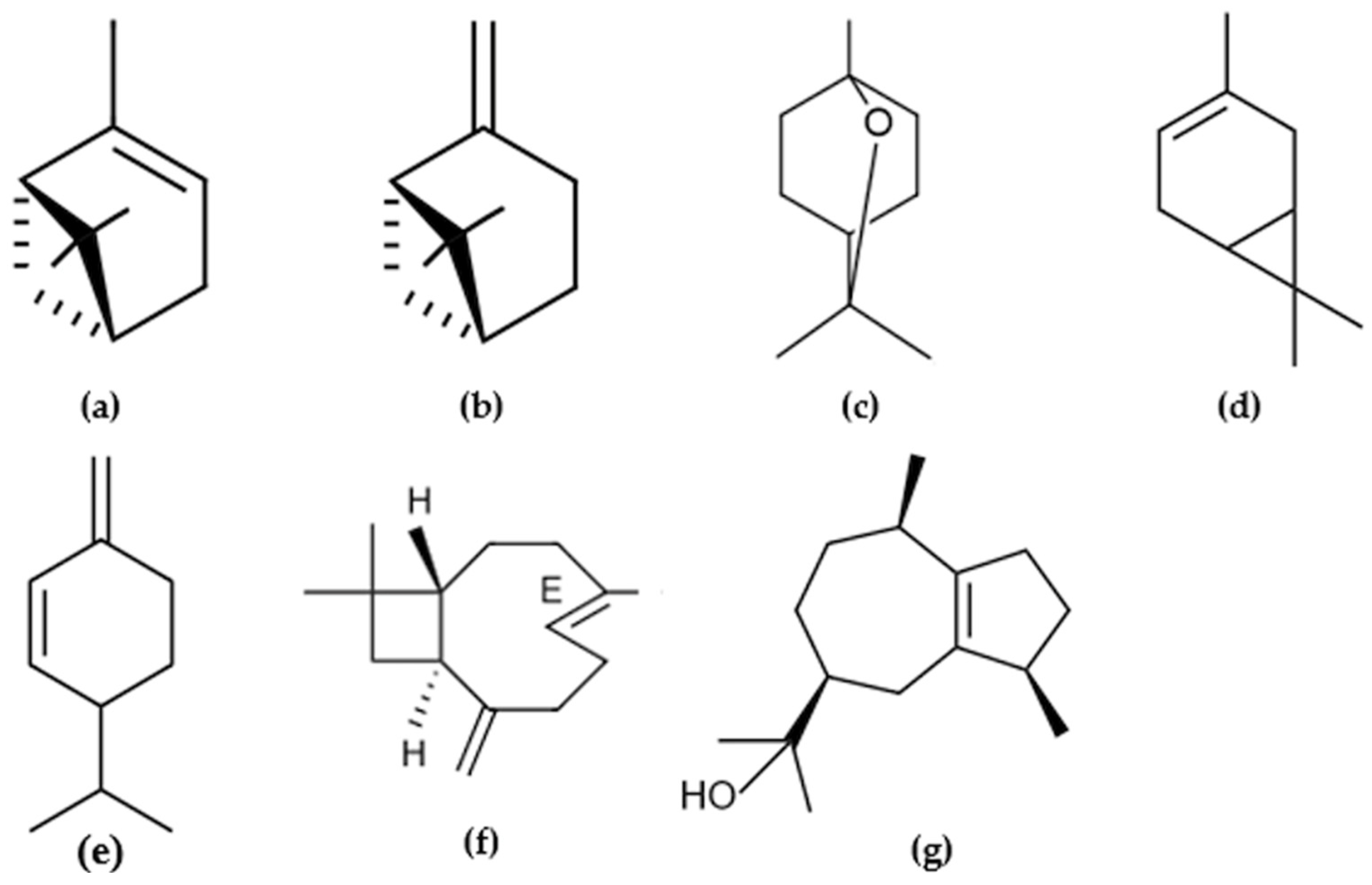 Molecules 26 03198 g001