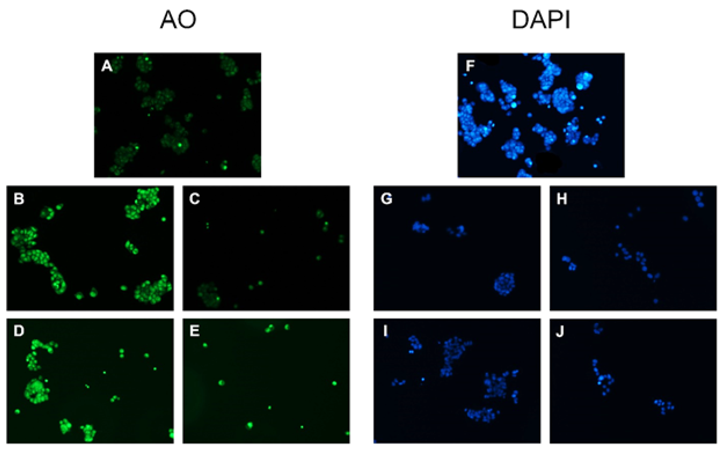 Molecules 26 03199 g002 Molecules 26 03199 g002