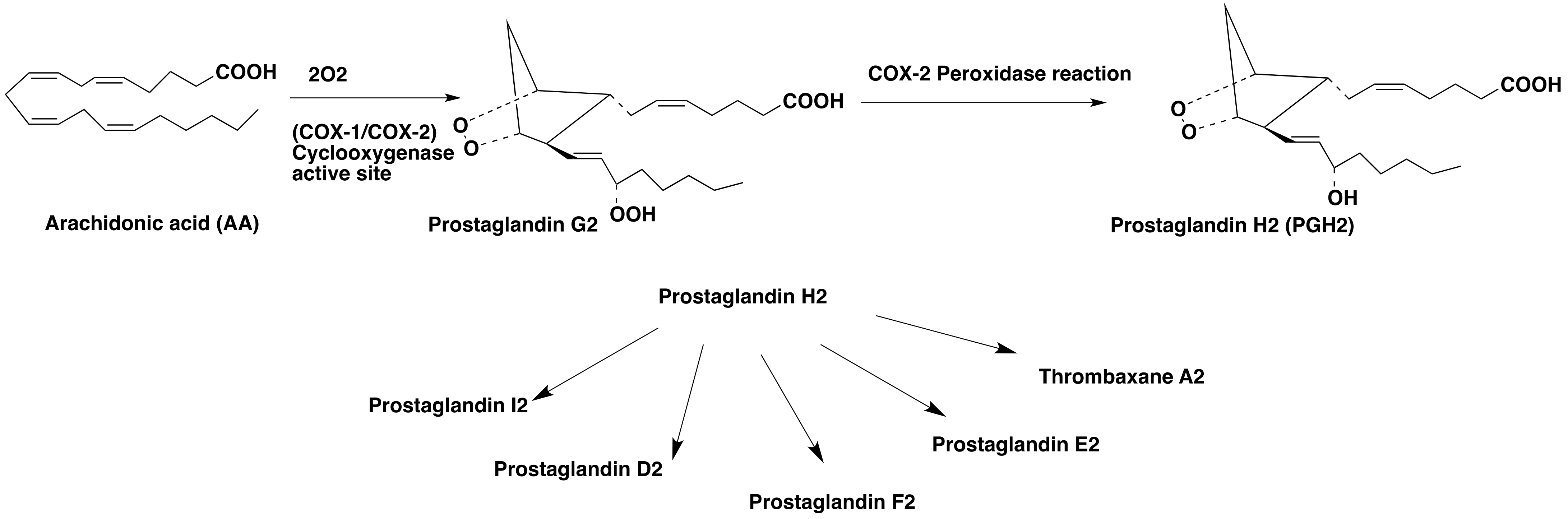 Molecules 26 03208 g001 Molecules 26 03208 g001