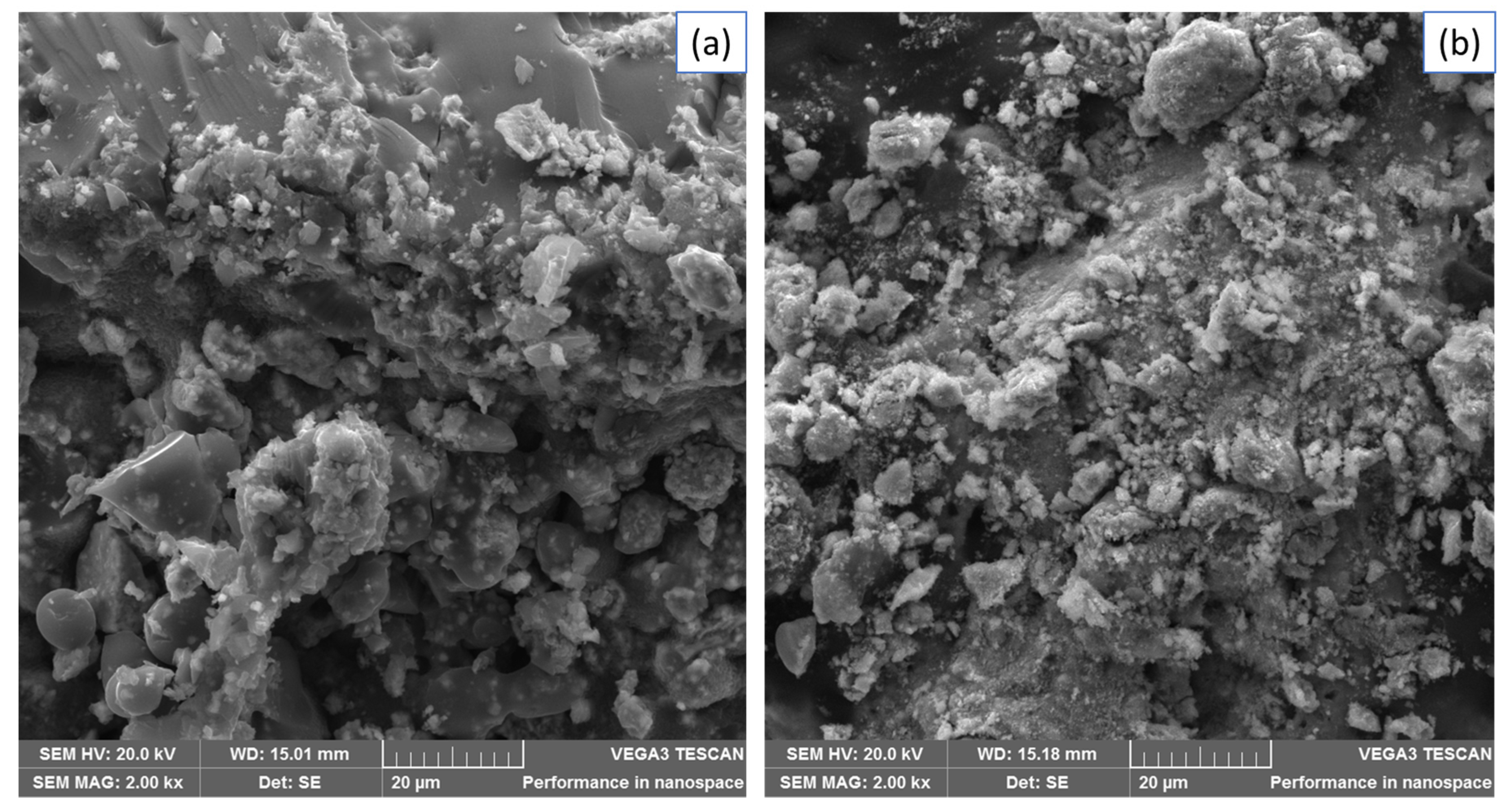 Molecules 26 03209 g009 Molecules 26 03209 g009