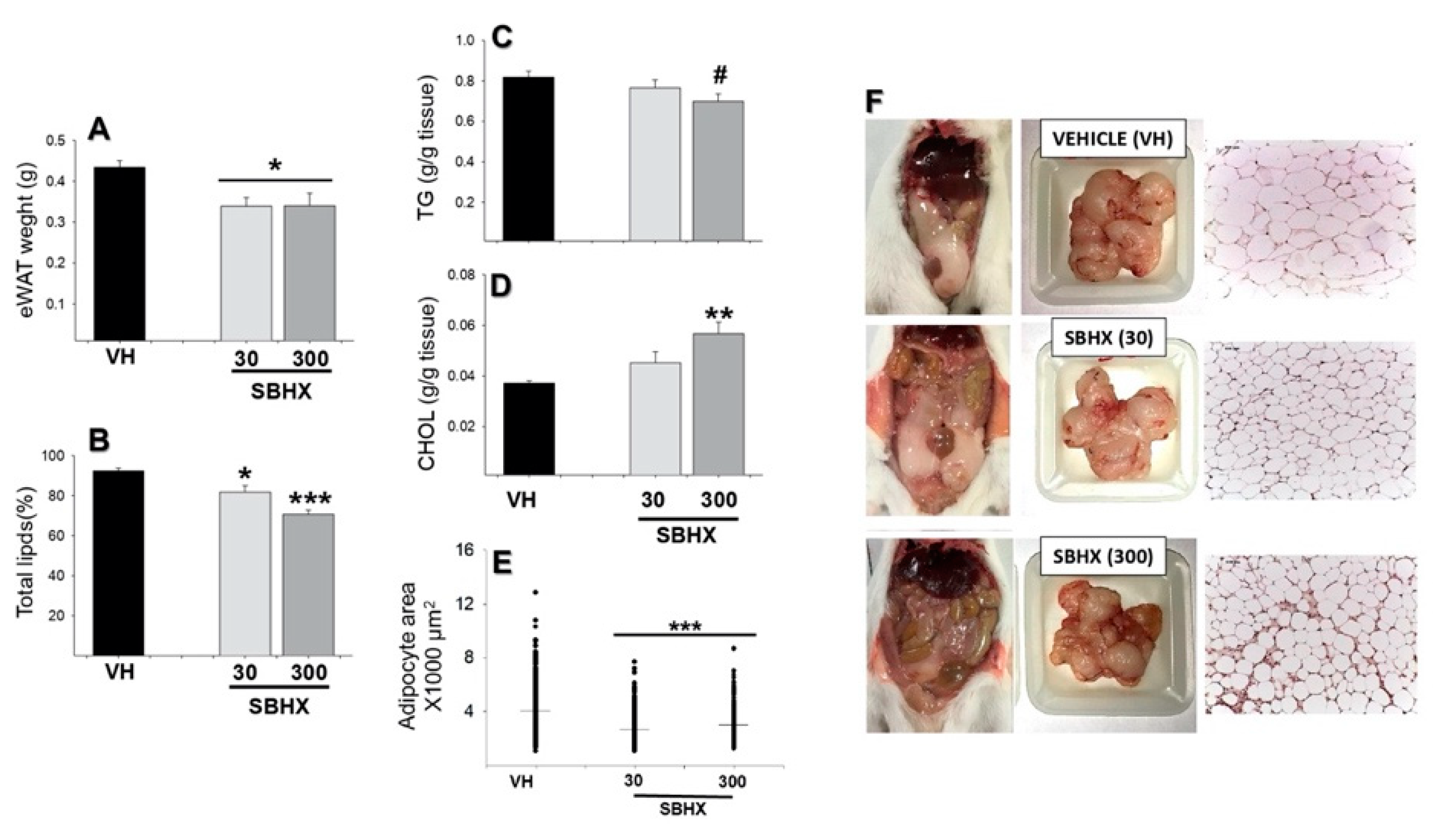 Molecules 26 03212 g004 Molecules 26 03212 g004