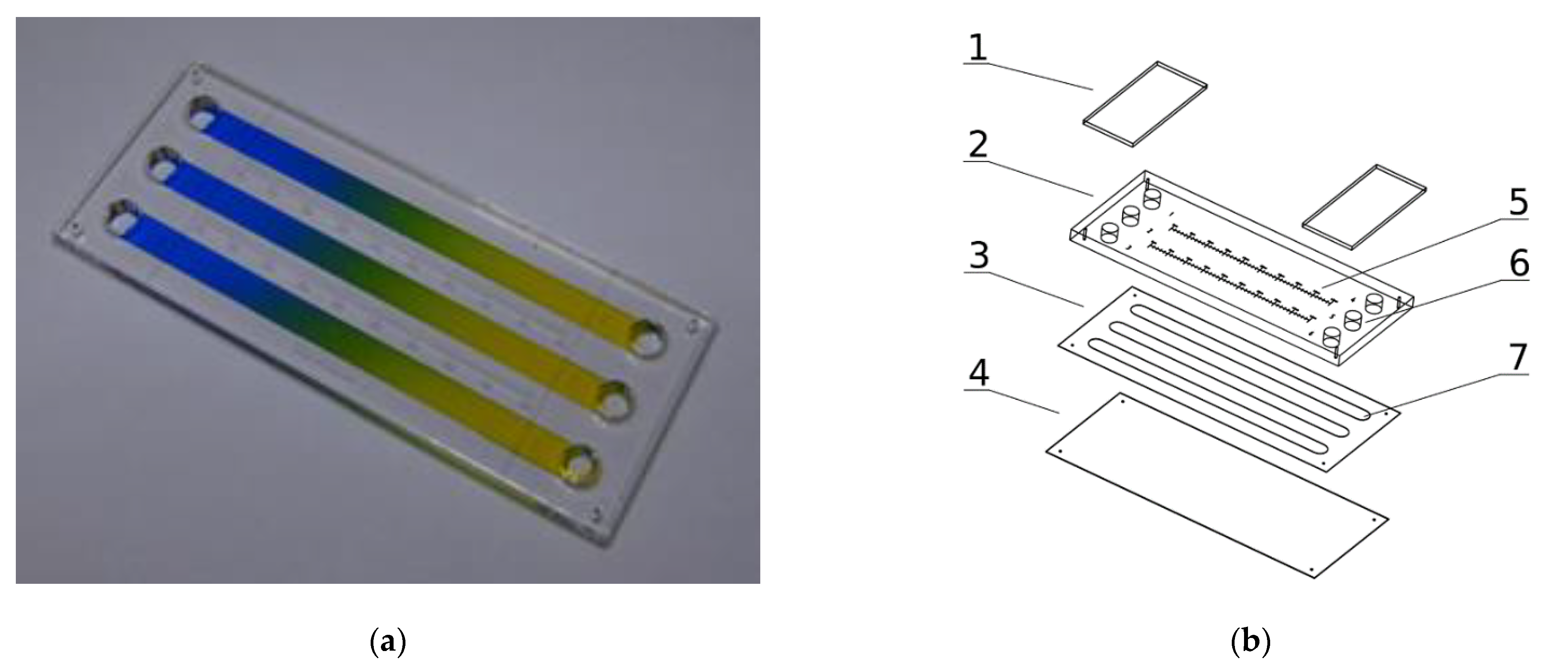 Molecules 26 03215 g001