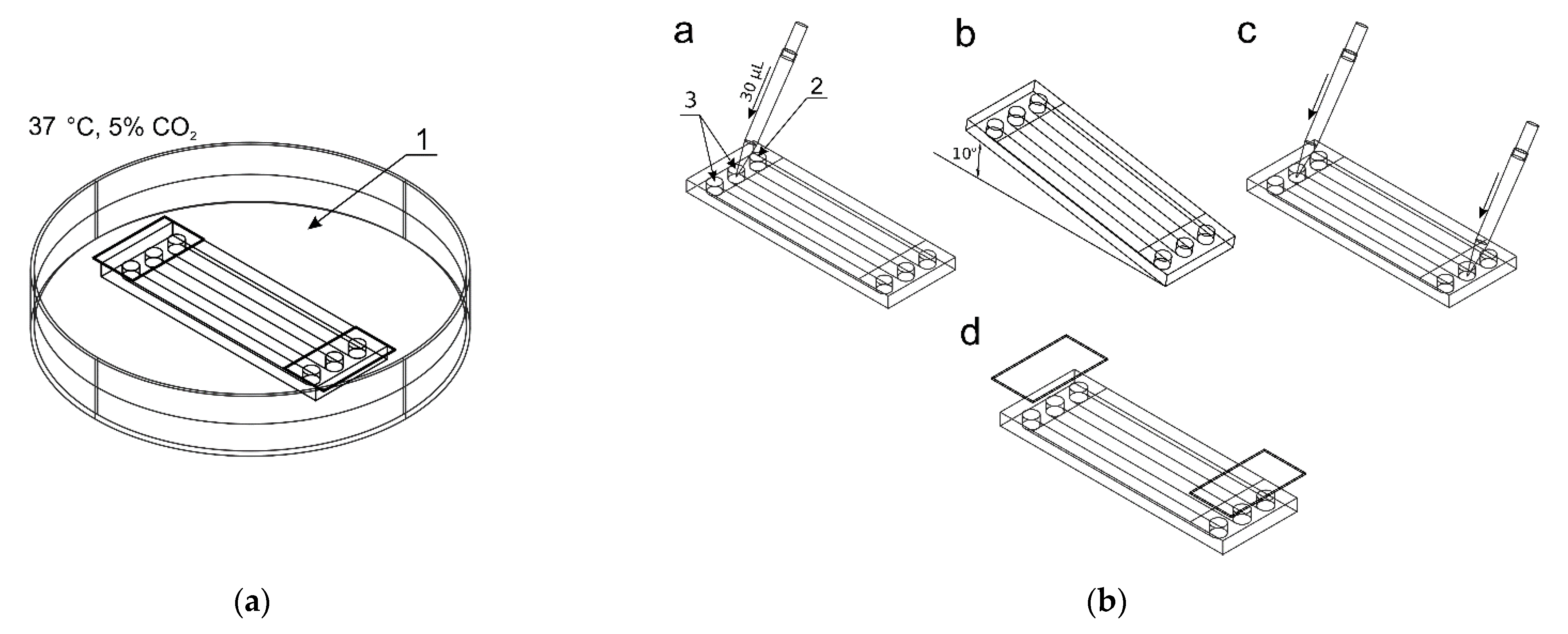Molecules 26 03215 g002