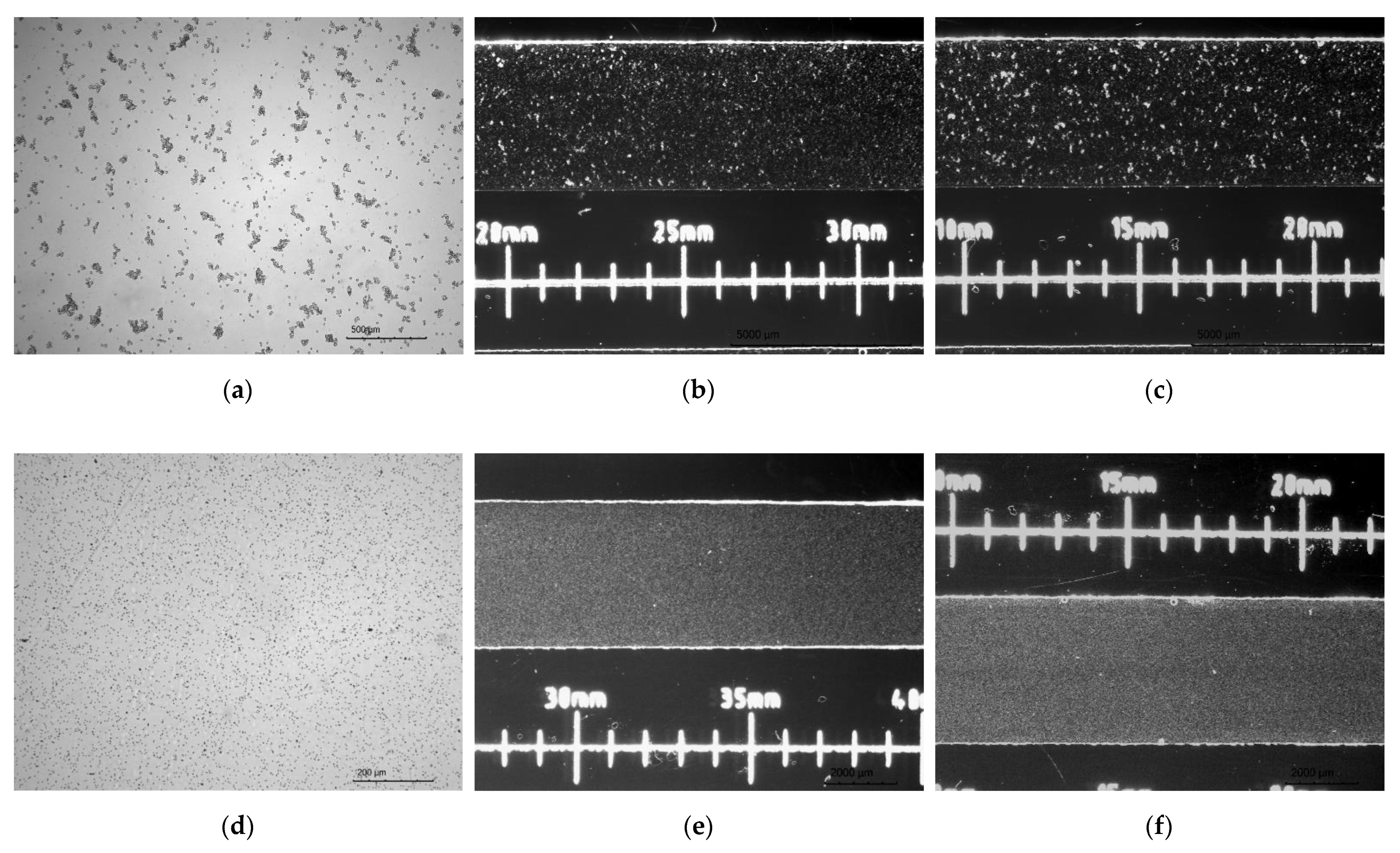 Molecules 26 03215 g003