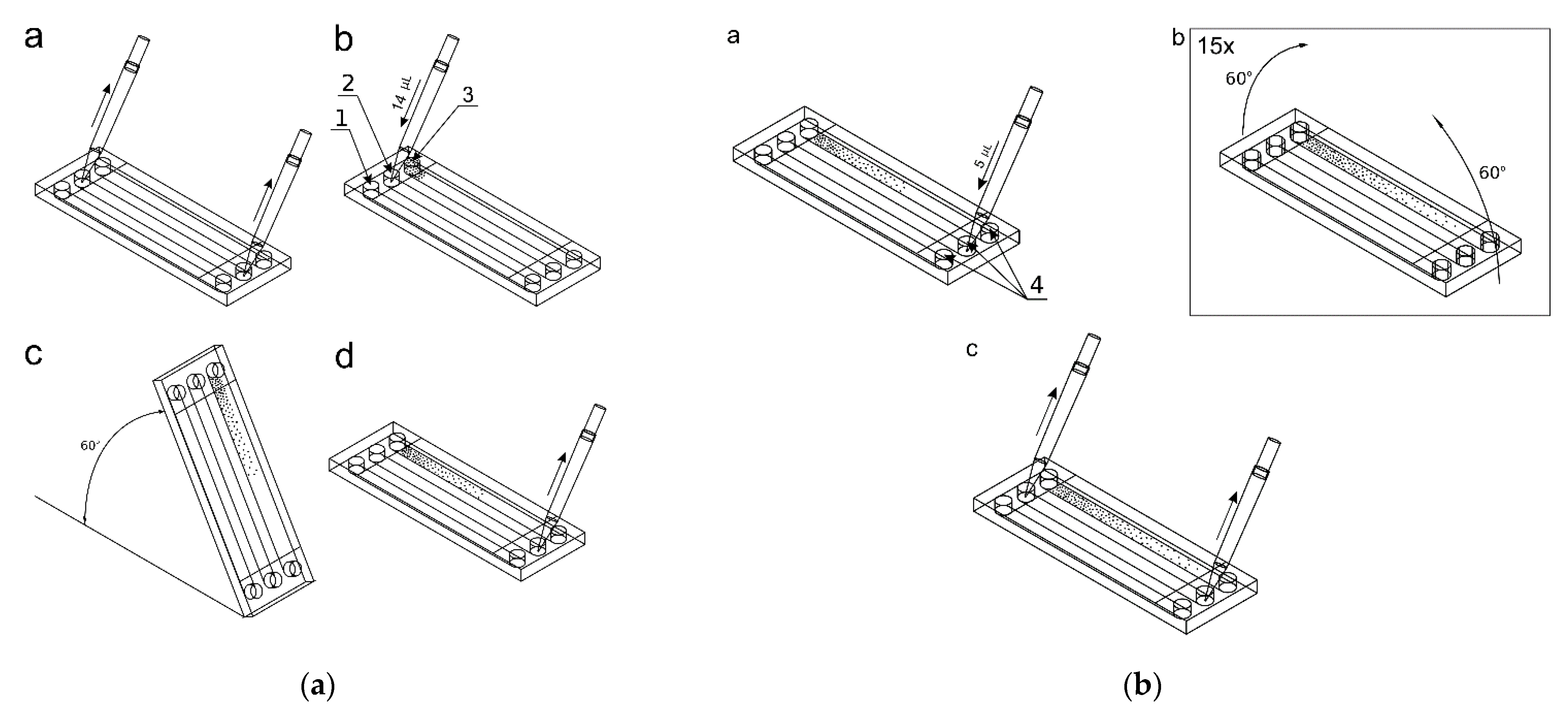 Molecules 26 03215 g004