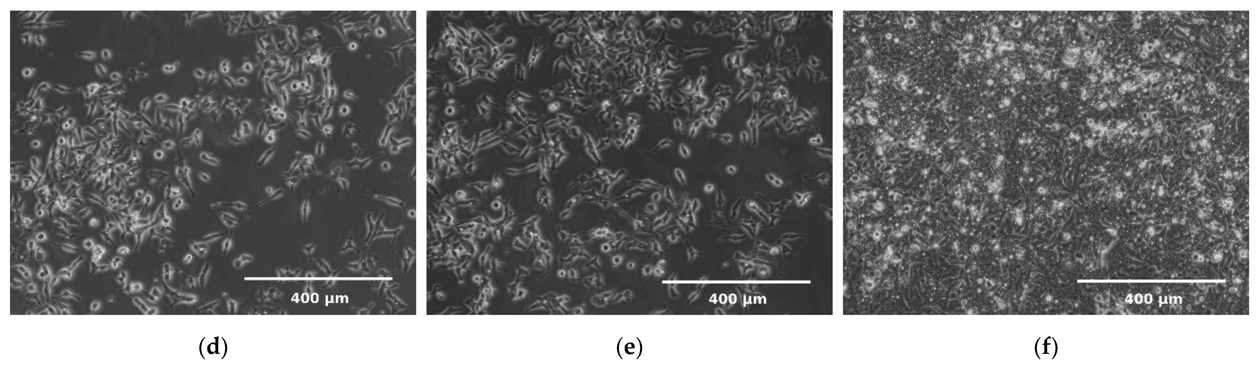 Molecules 26 03215 g005b
