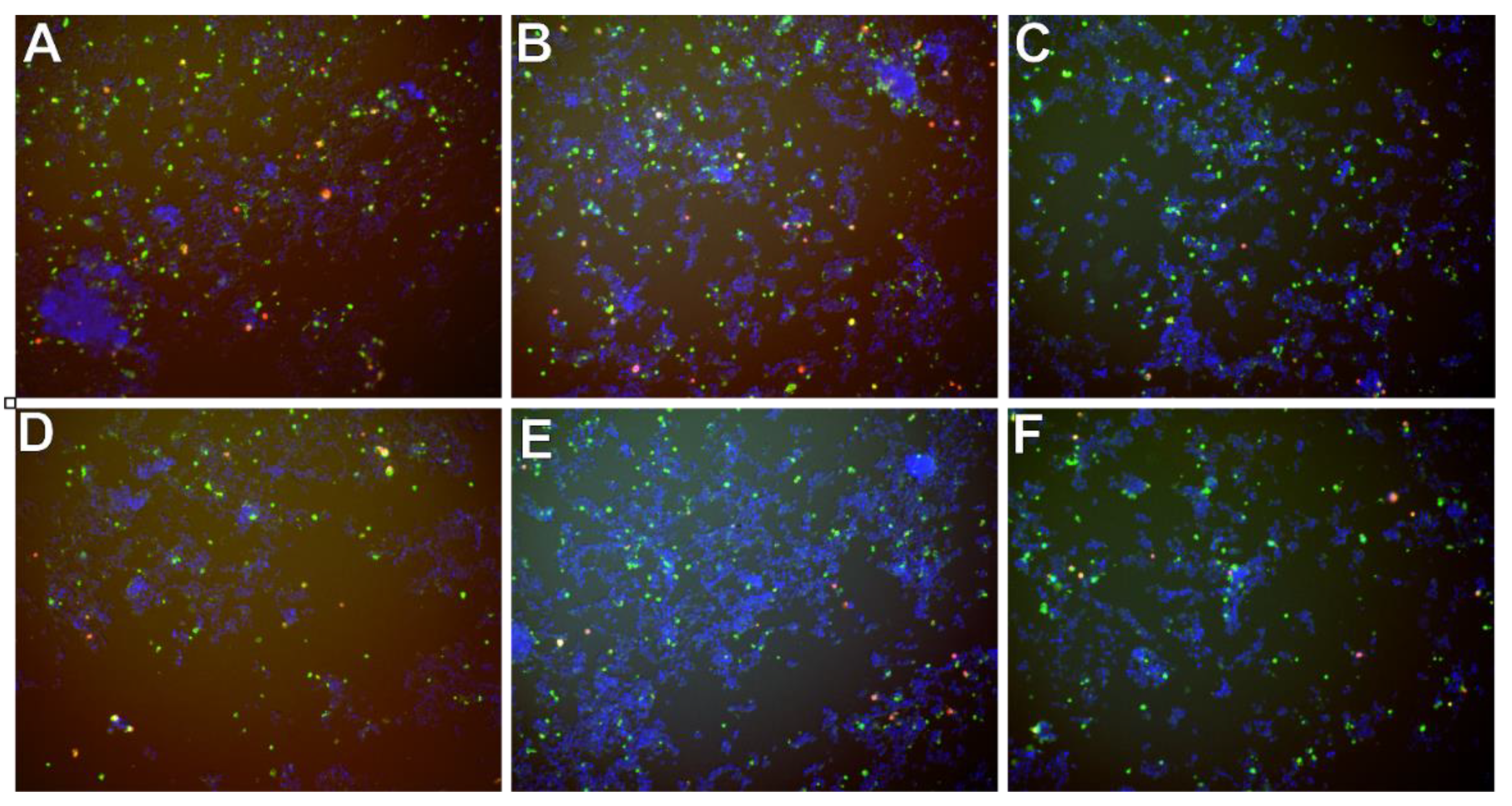 Molecules 26 03215 g009