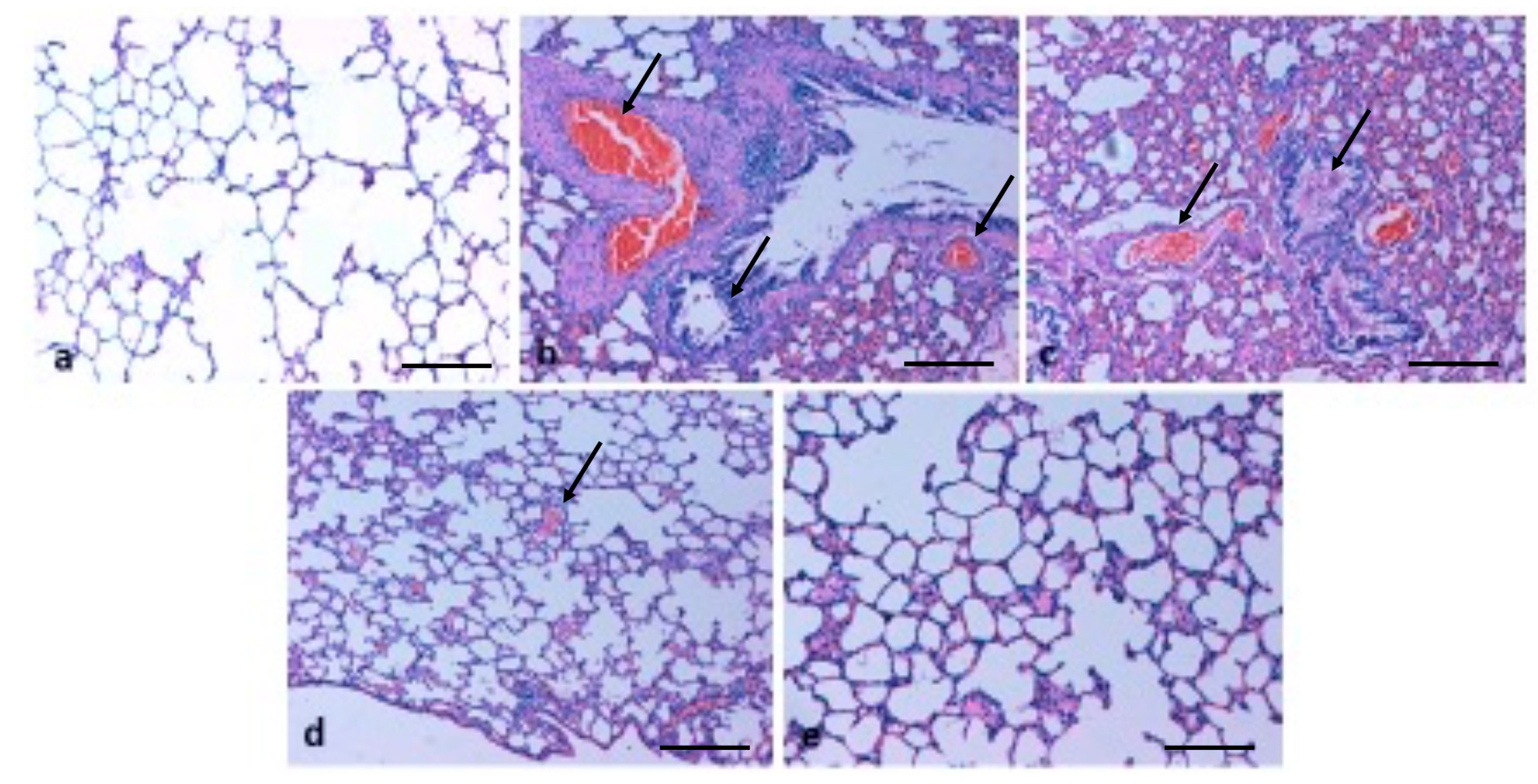 Molecules 26 03218 g006 Molecules 26 03218 g006